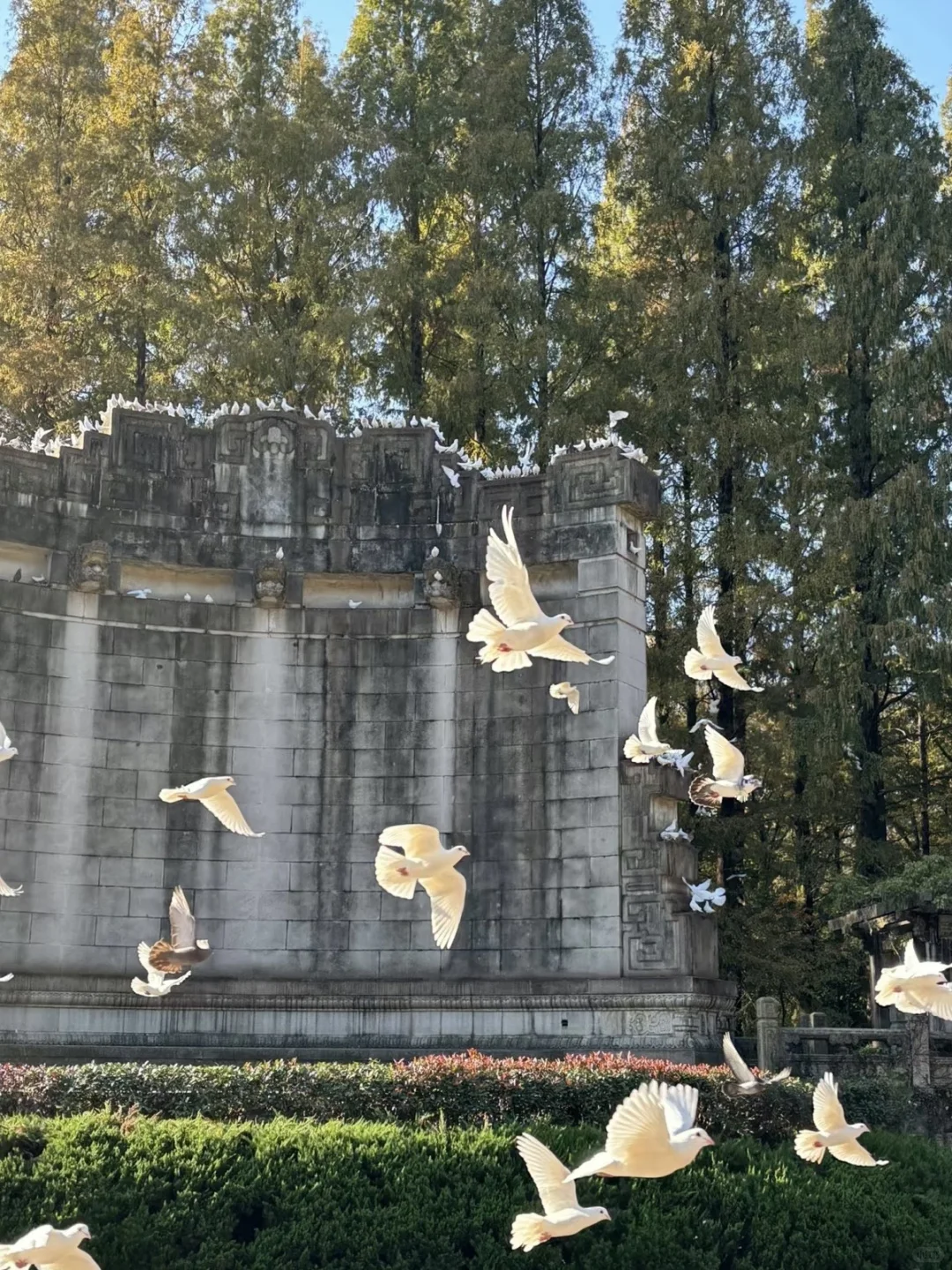 来南京住我家吧！128俩人😭（11.12开始空