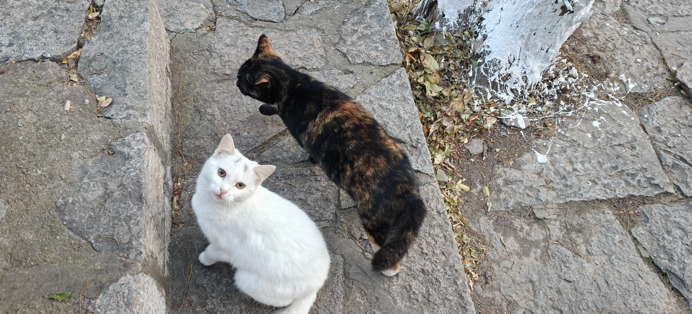 🌅徐州双璧｜云龙山×云龙湖