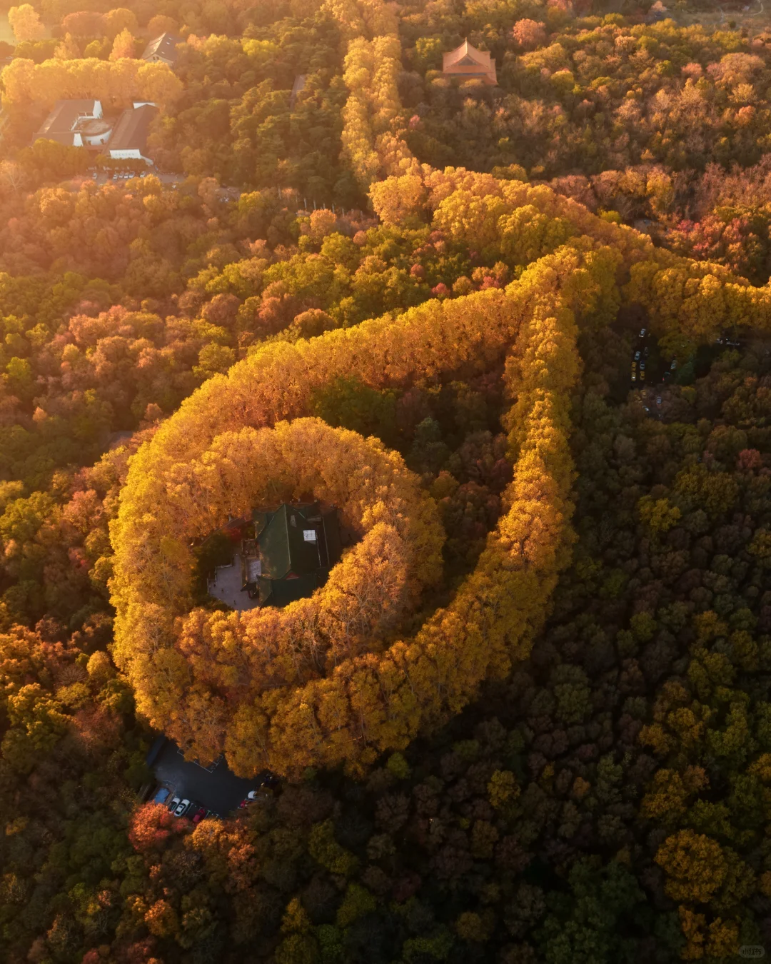 南京｜紫金山下秋风至