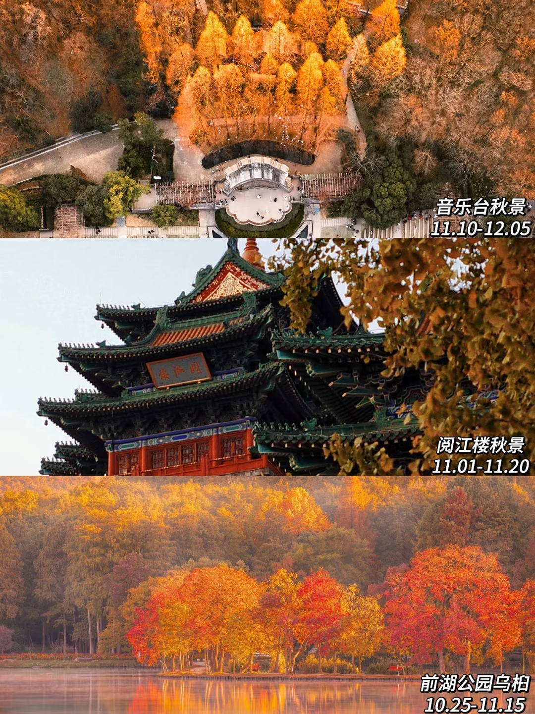 2025年南京赏秋攻略