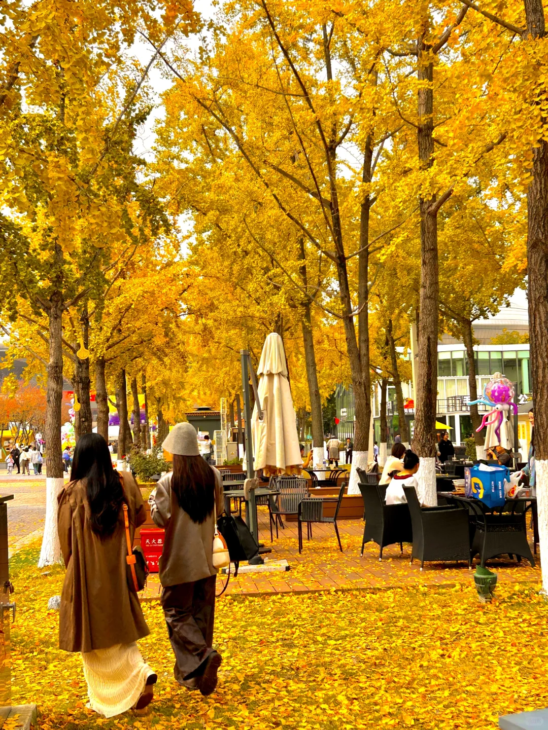 南京就是一座巨大的落叶痛城！枫叶浪漫哭🍁