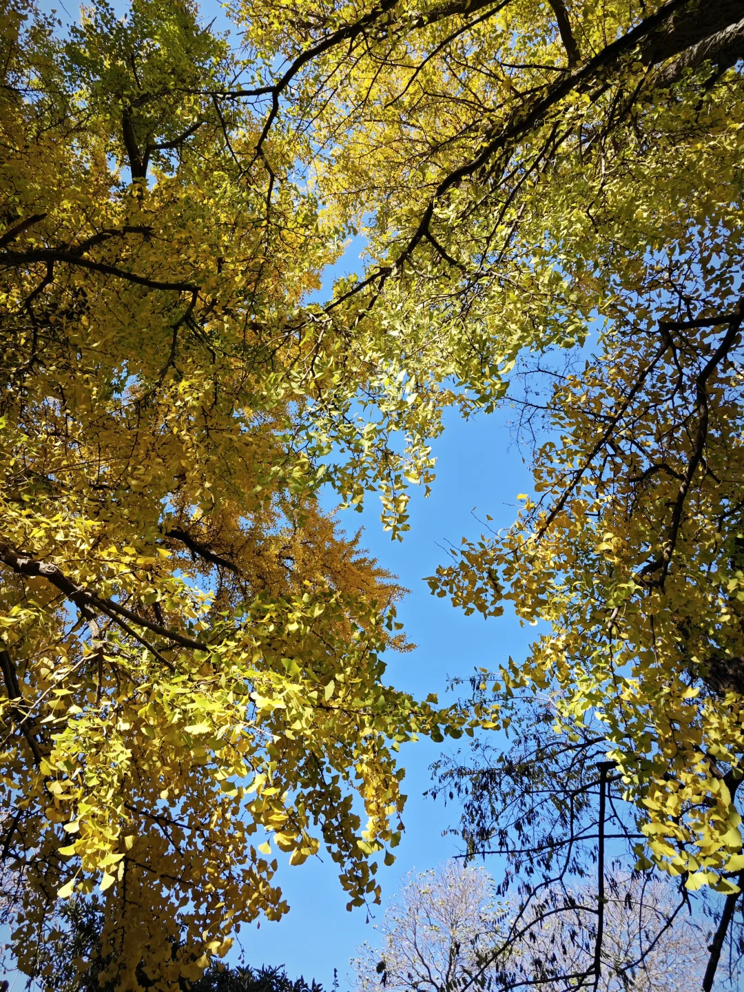徐州📍一座来了就不想走的城市