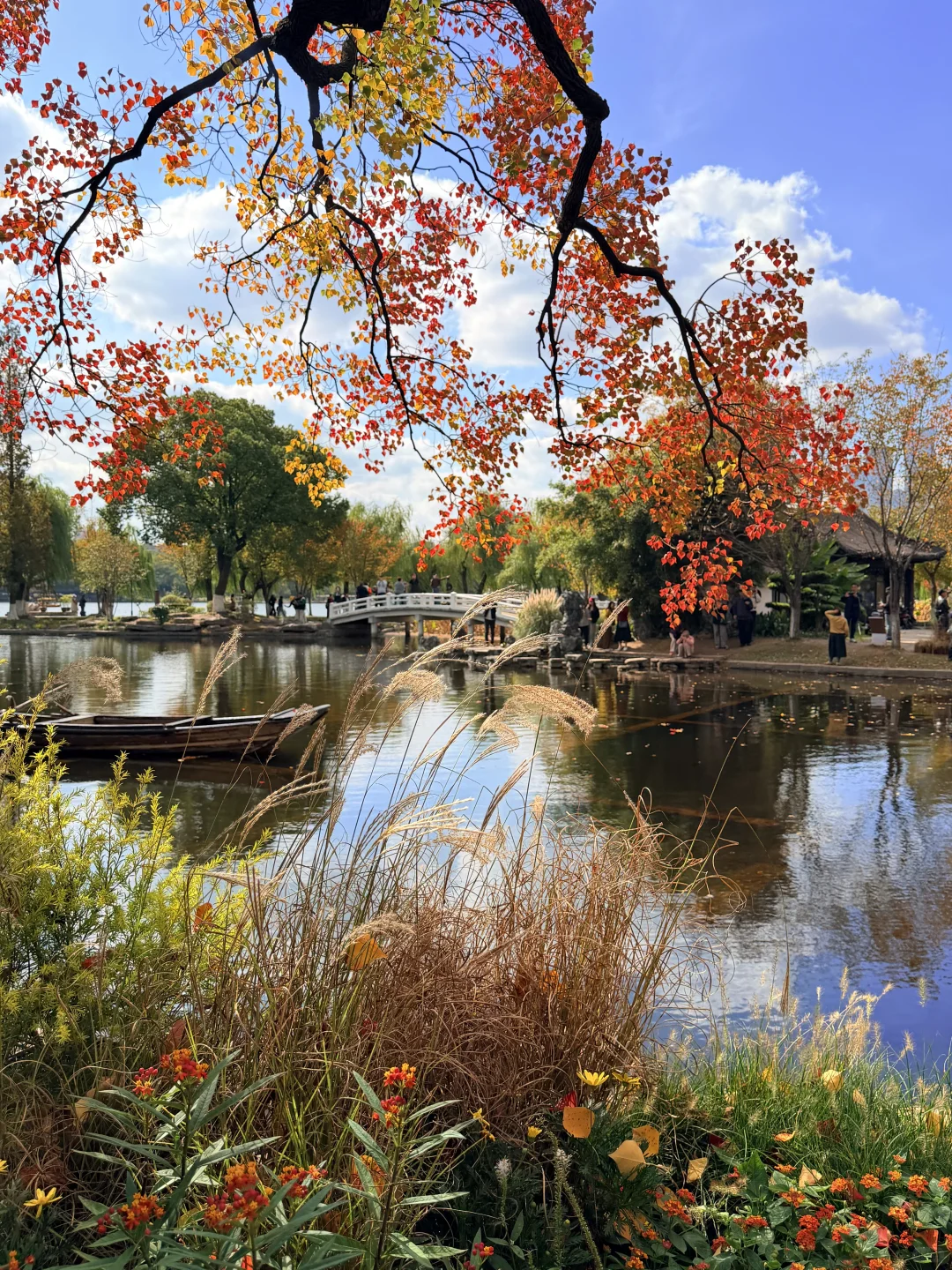 南京｜莫愁湖的乌桕🎨