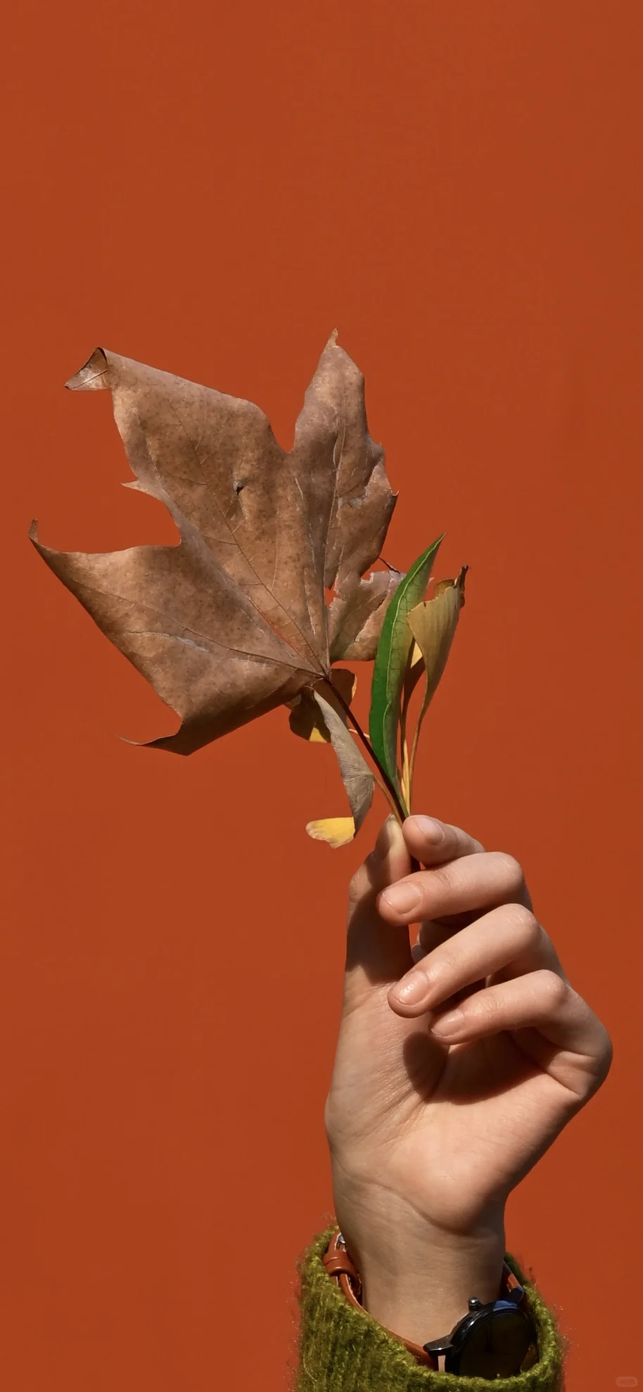 南京/金陵，一个人的旅游