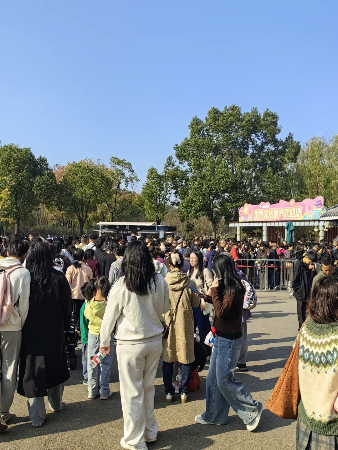 11月15日周末南京燕雀湖实况