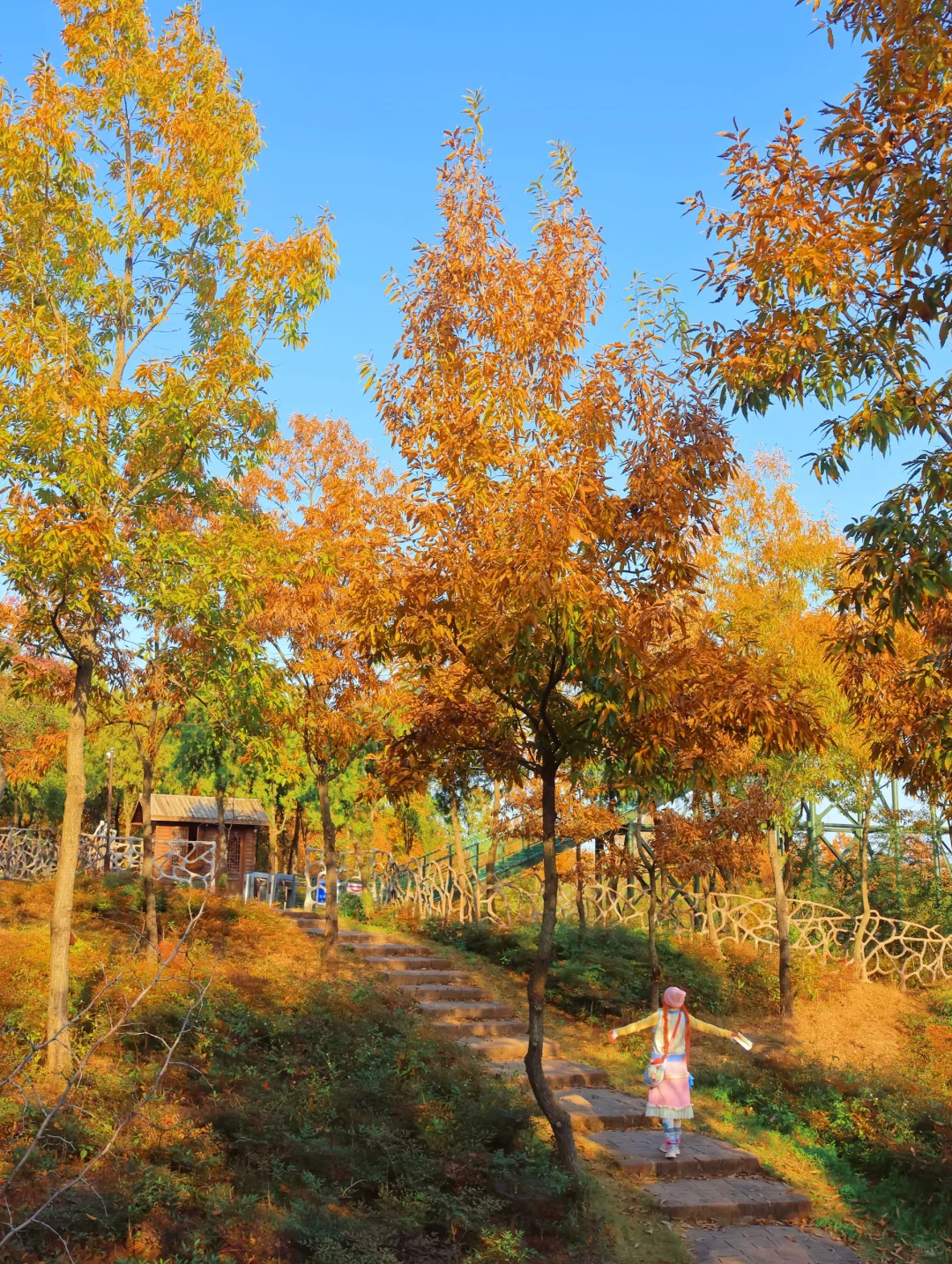 徐州人嘴真严啊！藏着这么美的地方不说！