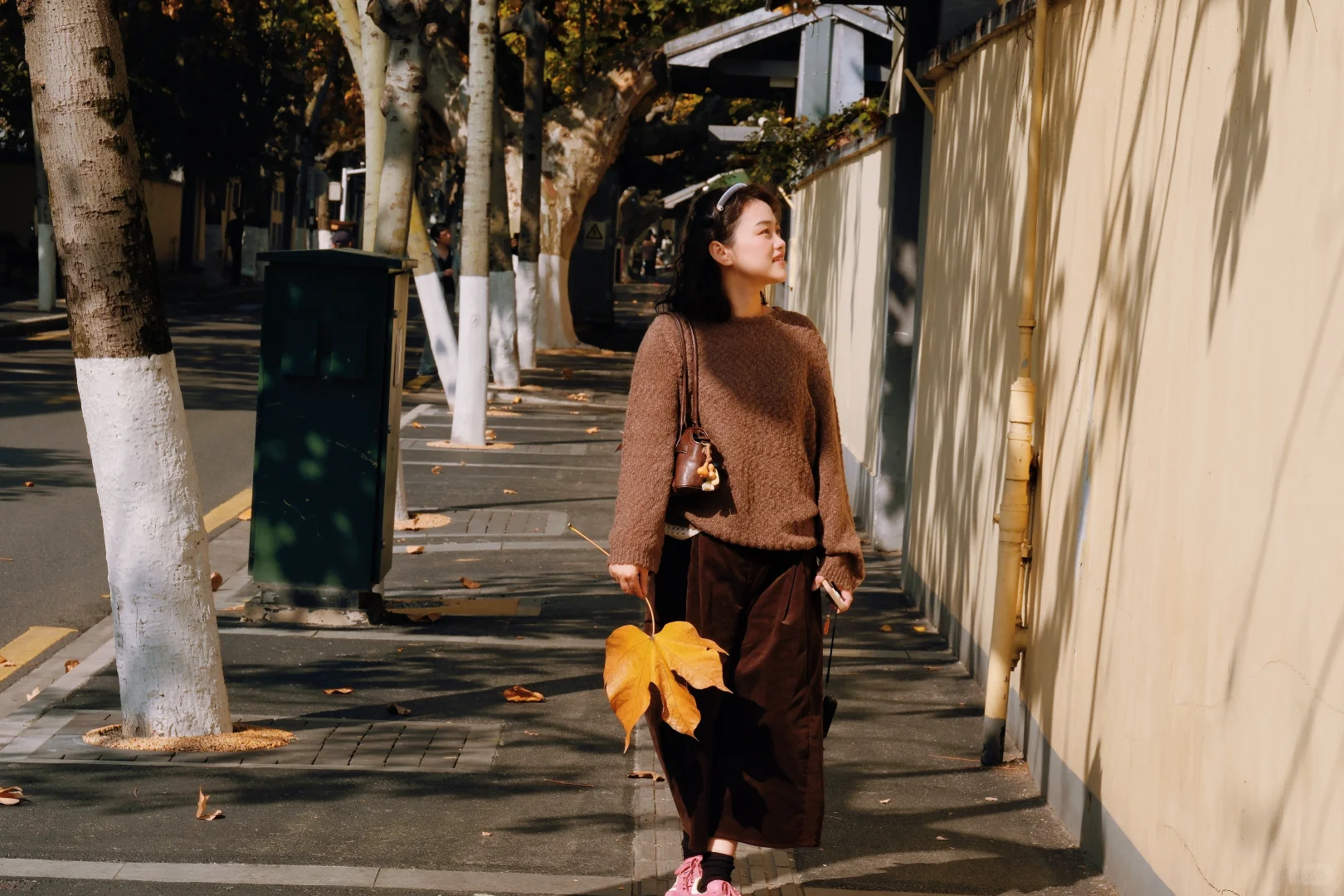 南京‖颐和路的秋天