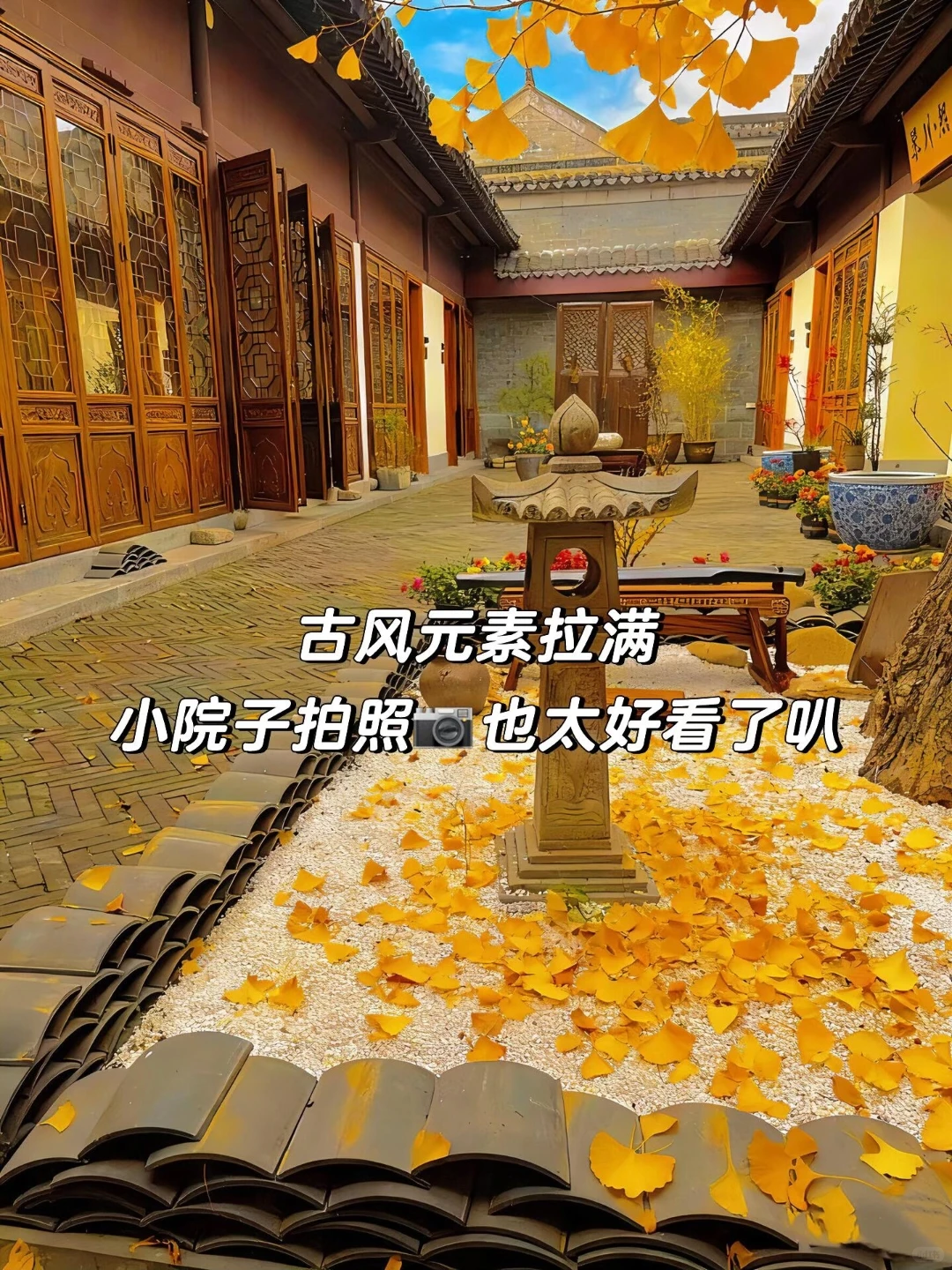 来南京住我家吧！99俩人😭（11.19开始空