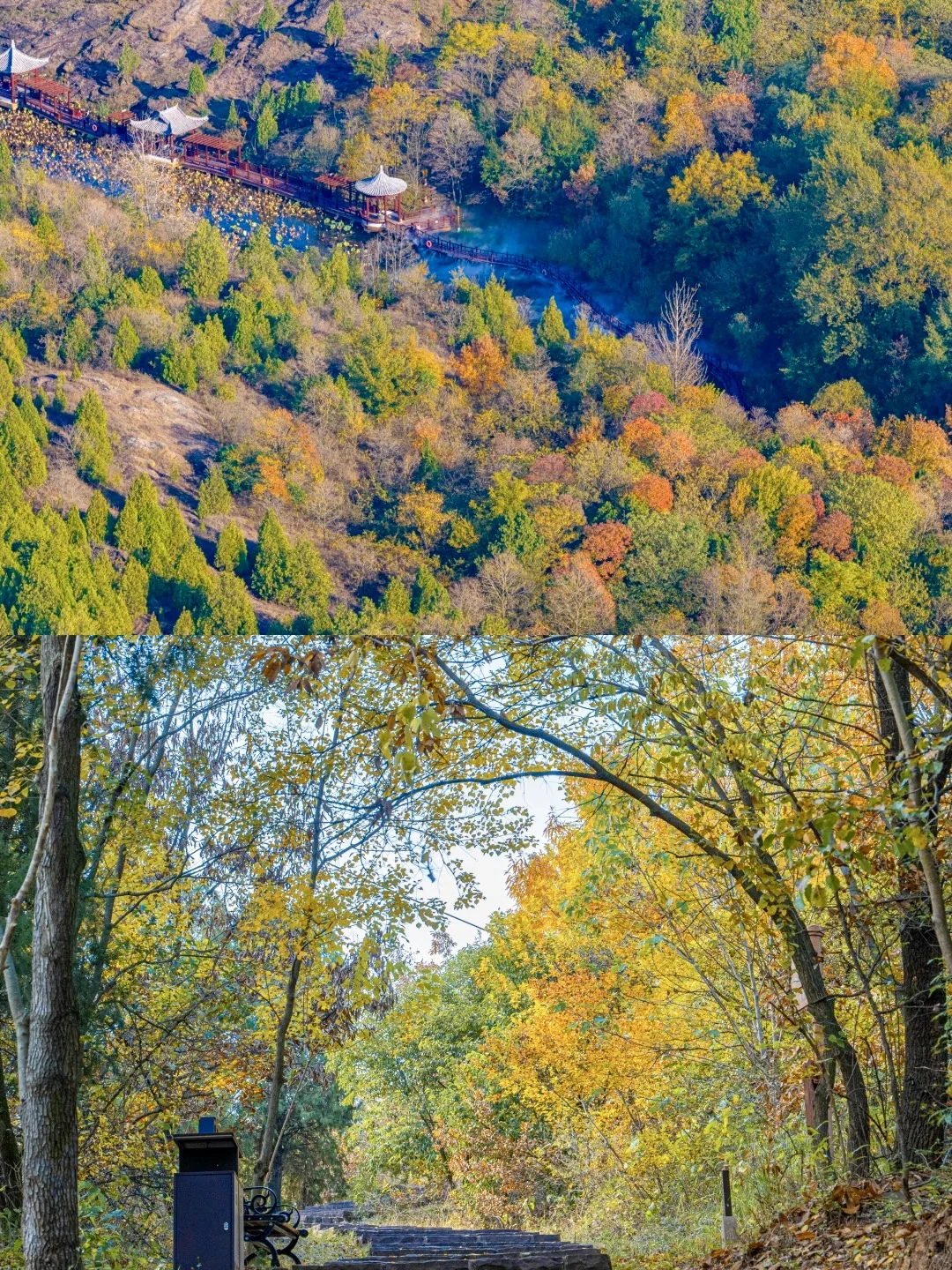 迄今为止❗️我最喜欢的旅游城市出现了….