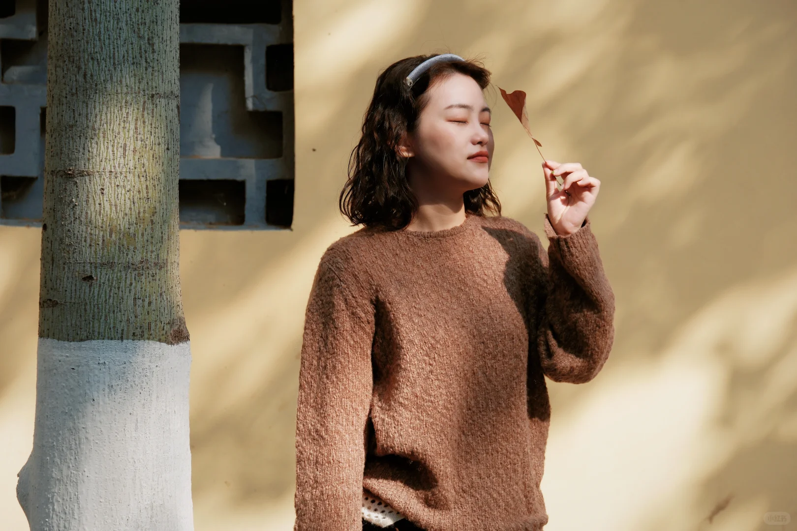 南京‖颐和路的秋天