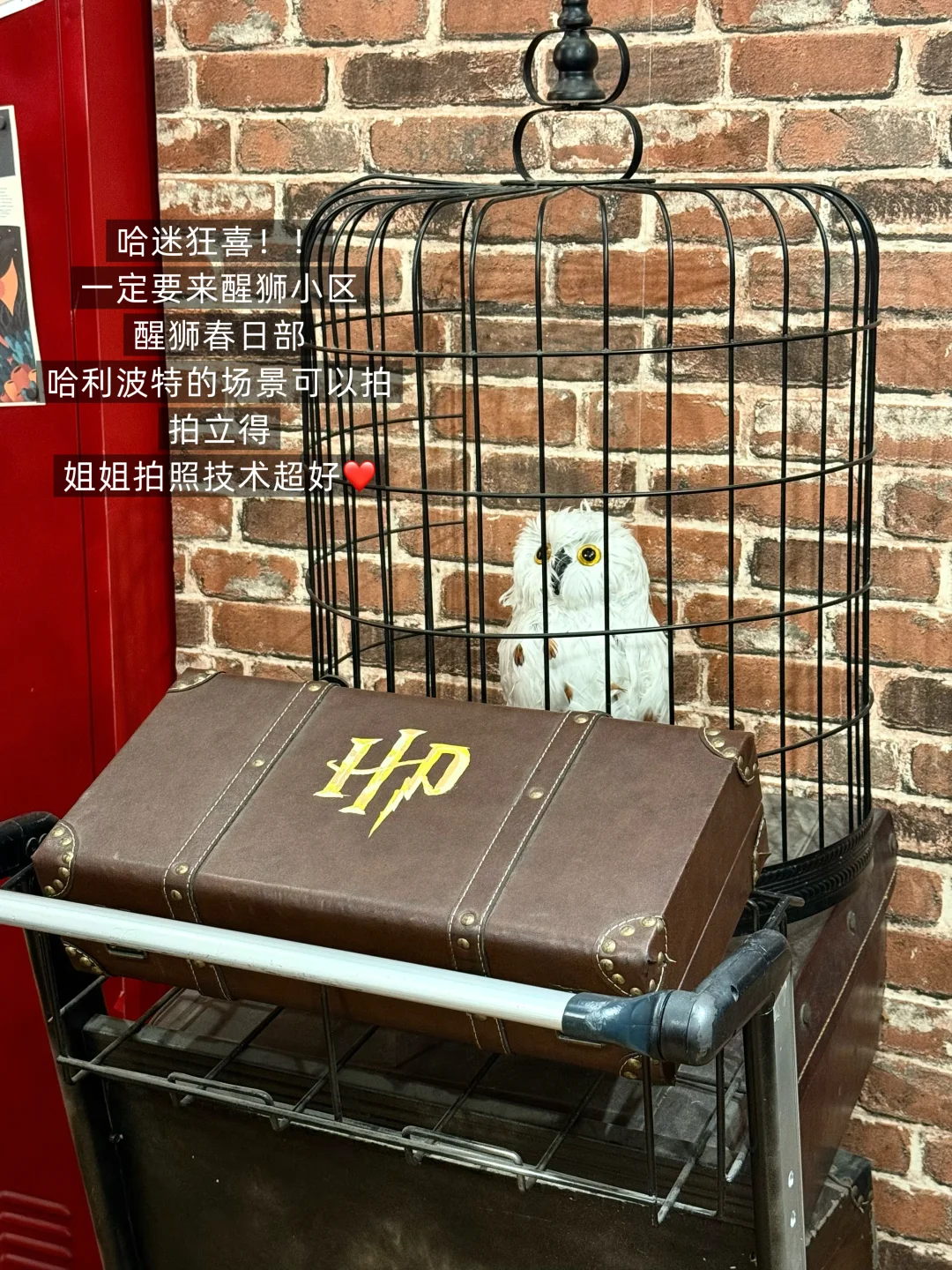 徐州‼️我下次还会来的🙋‍♀️