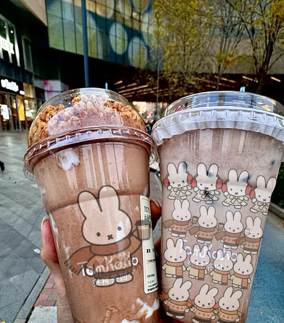 徐州的！！！Tamkoko泰柯茶园终于来啦！