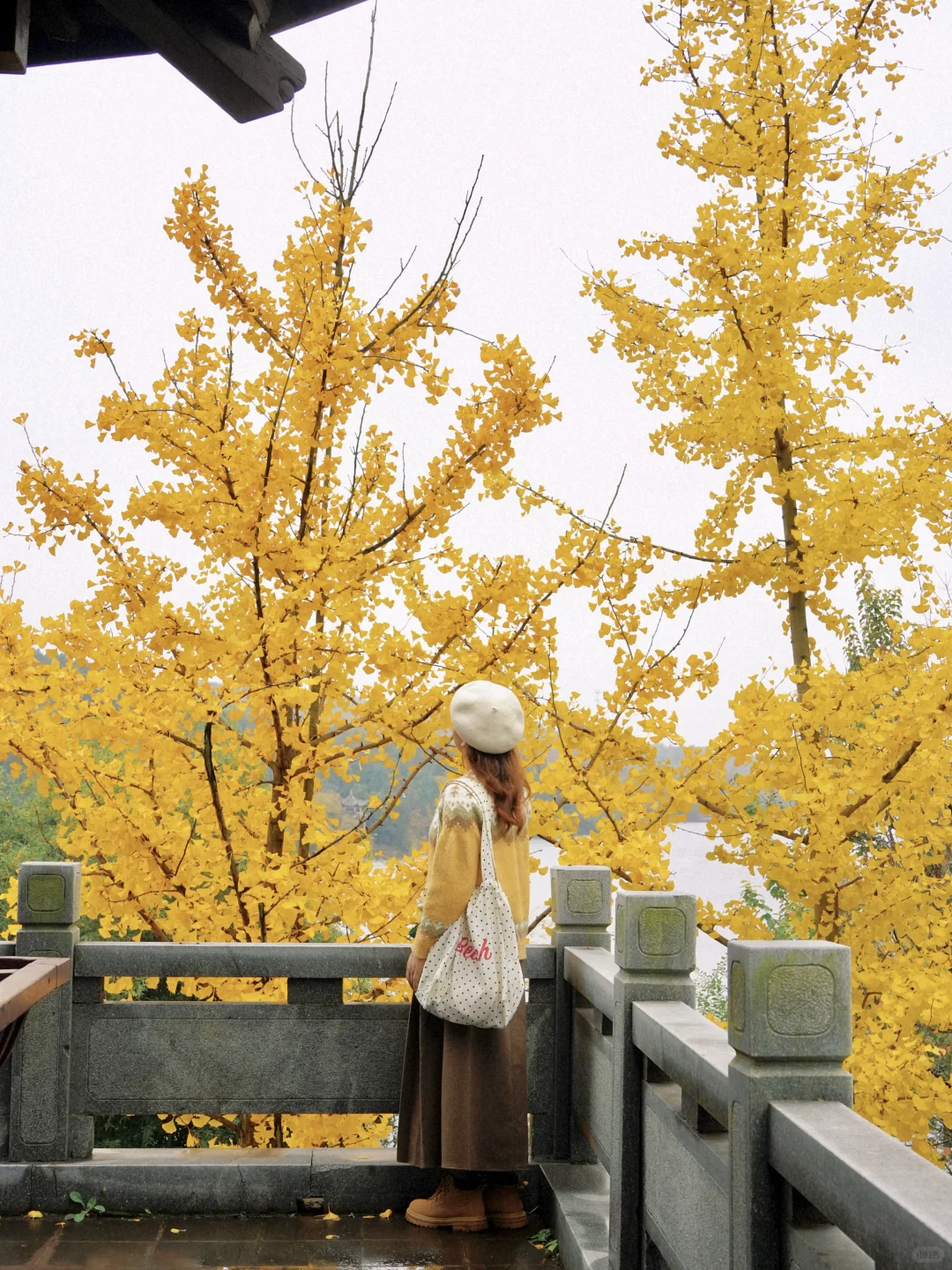 迄今为止🍁江浙沪最喜欢的秋游小城出现了‼️