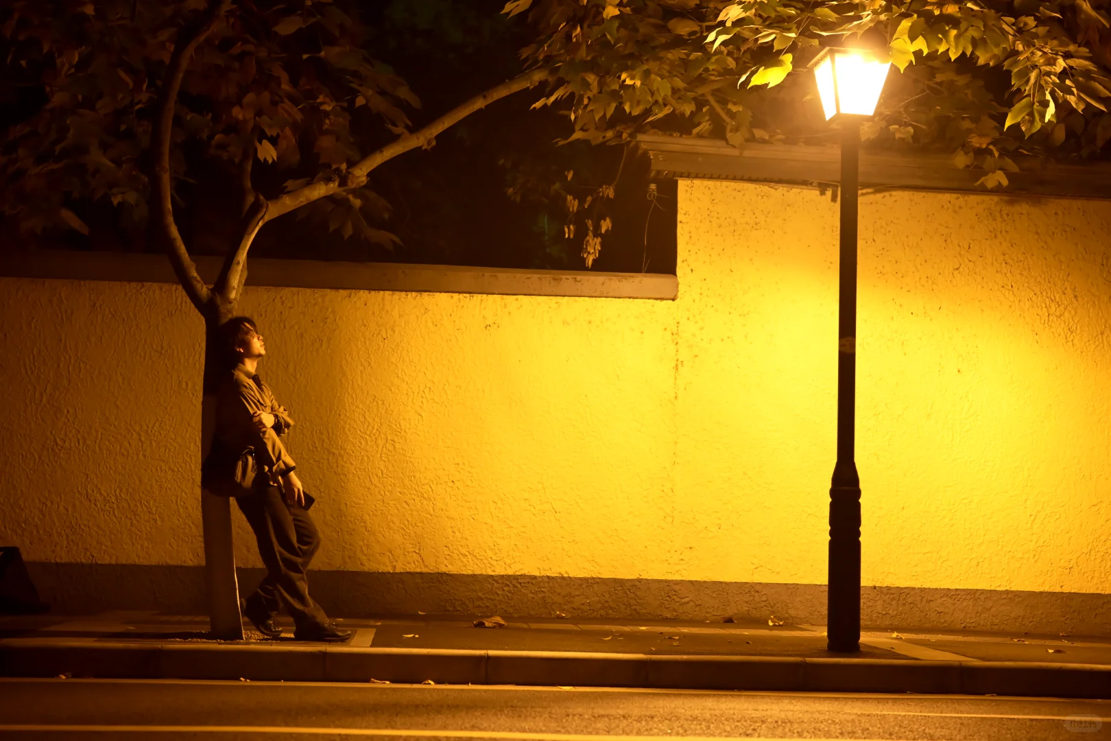 南京/金陵，一个人的旅游