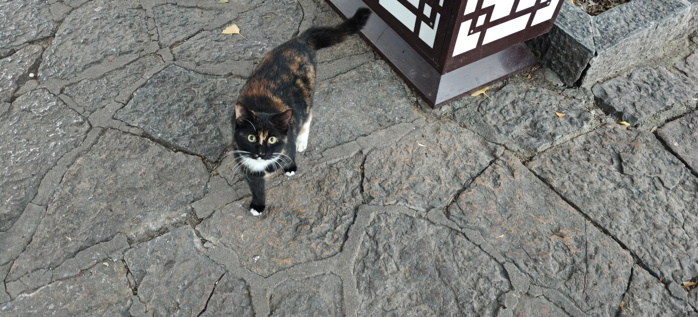 🌅徐州双璧｜云龙山×云龙湖