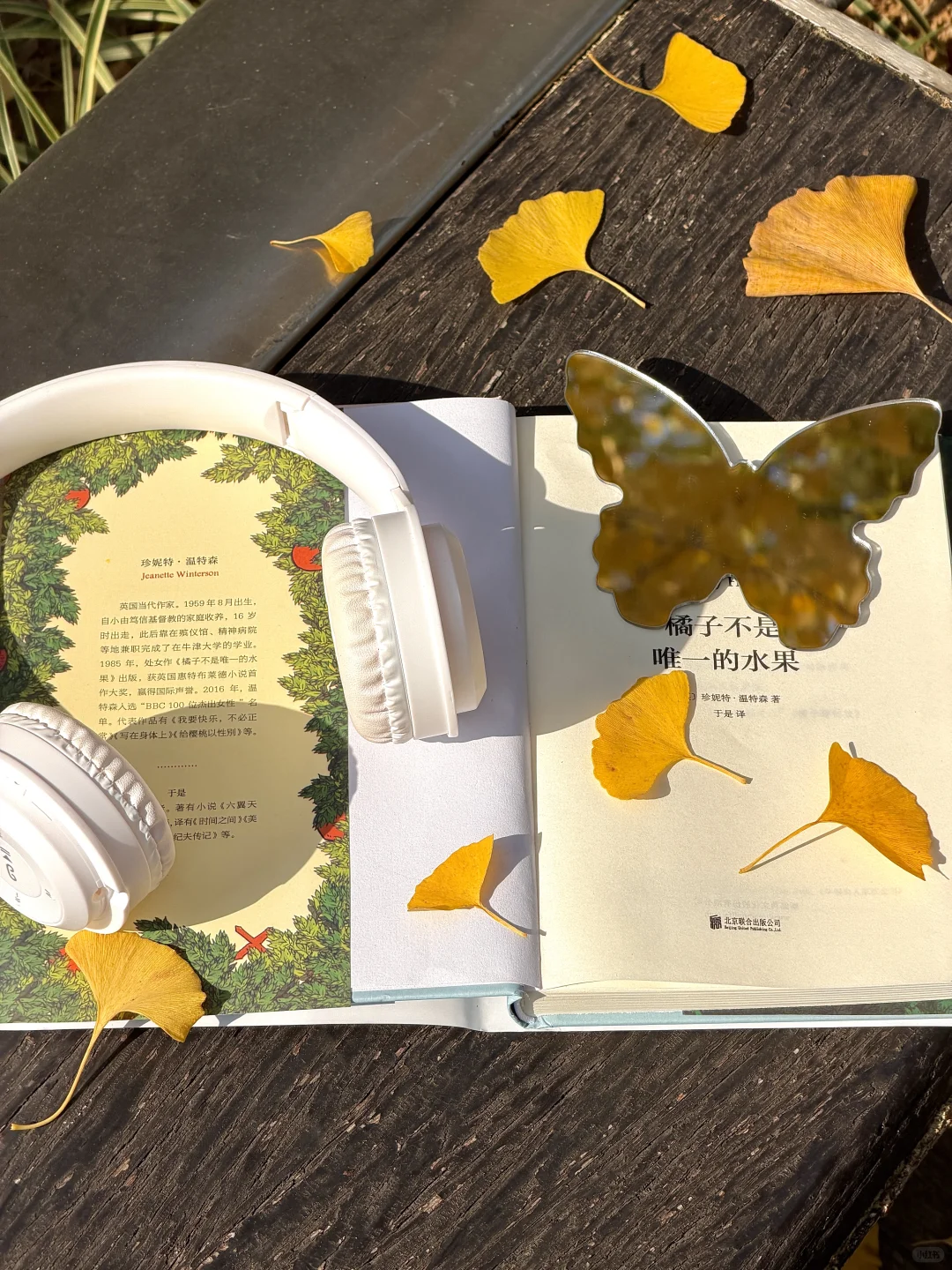 11.14实况！！南京银杏大道美到封神😭。。。