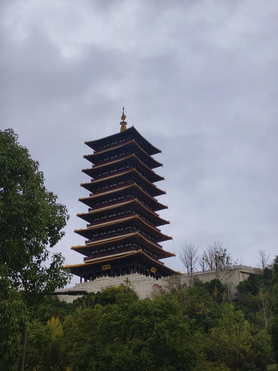 南京下雪啦！南京初雪！！！