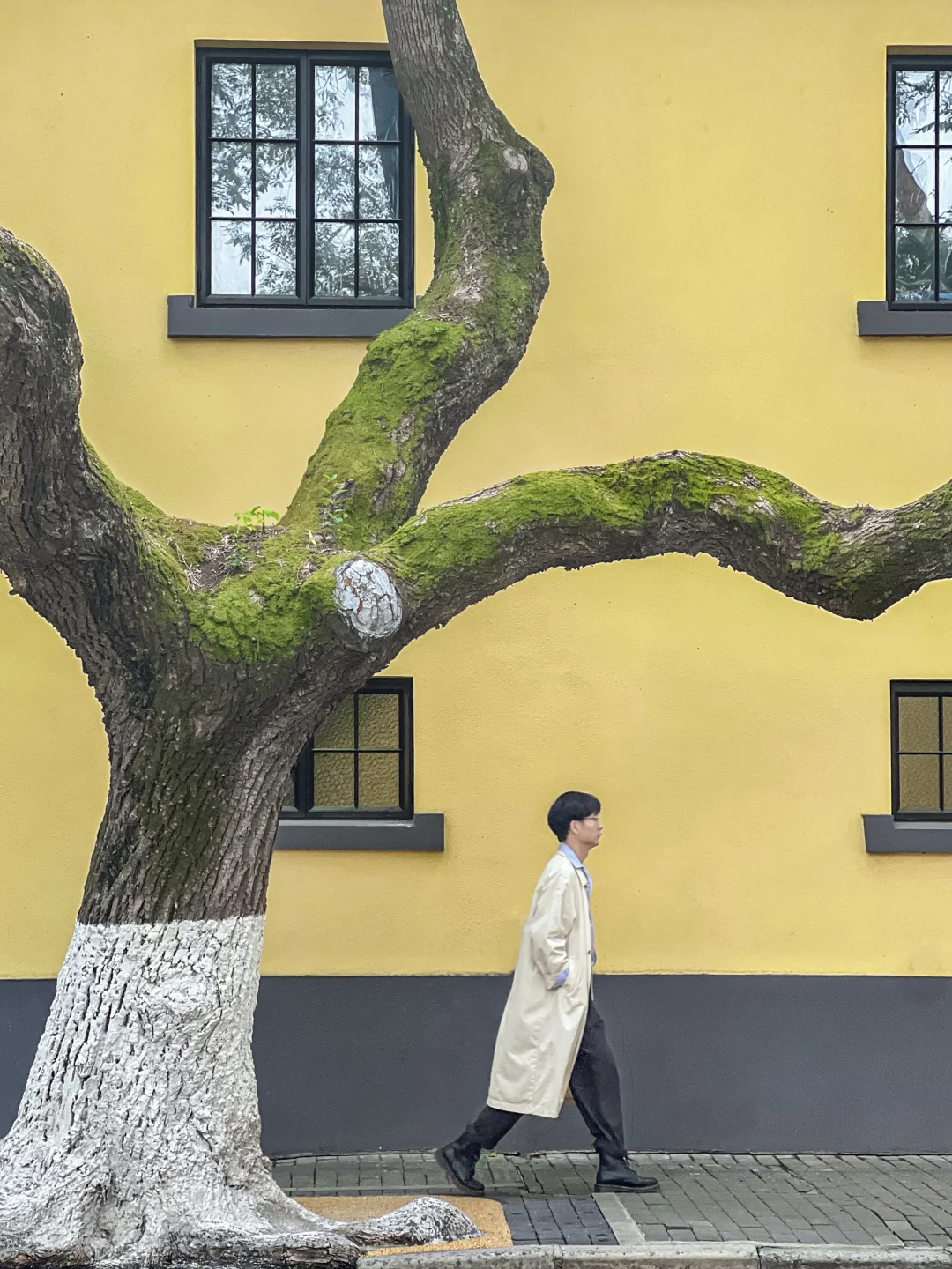 因为这1️⃣8️⃣张照片，我专门去了一趟南京‼️