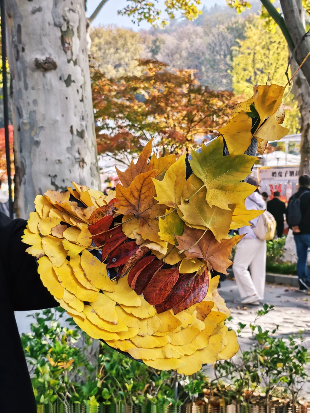 💥红啦！南京栖霞山免费赏枫指南来啦