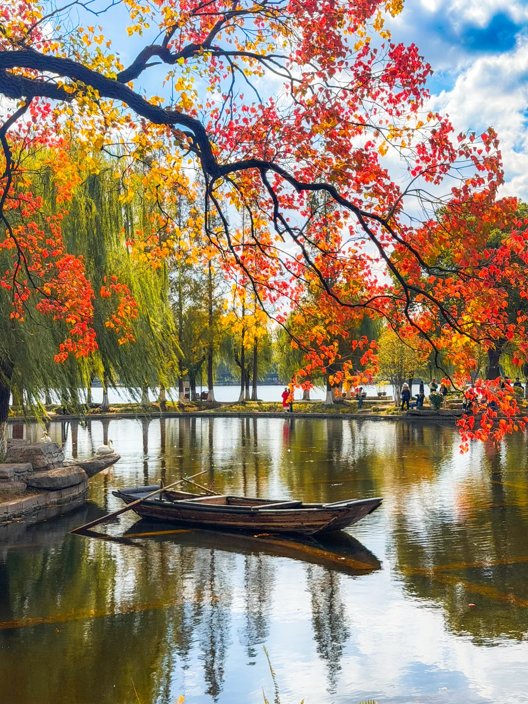 南京｜莫愁湖的乌桕🎨