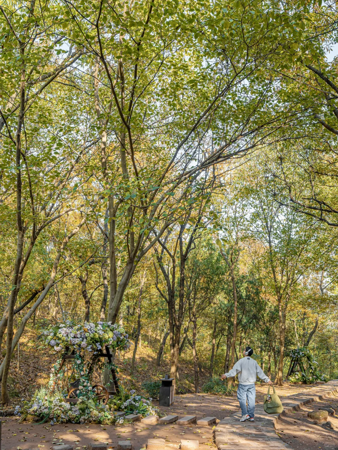 迄今为止❗️我最喜欢的旅游城市出现了….
