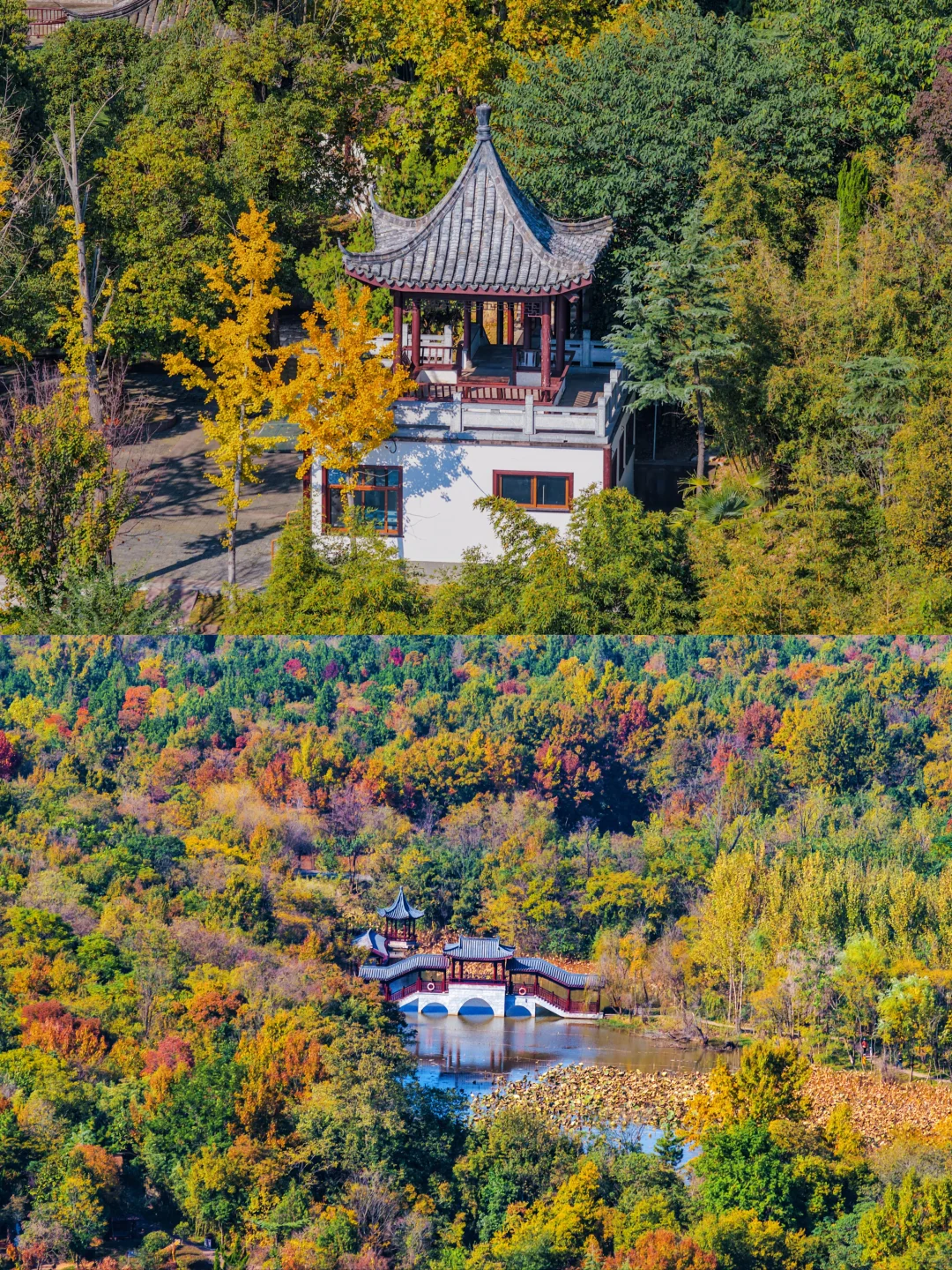 以为苏州已经够美了，直到我去了徐州😭..