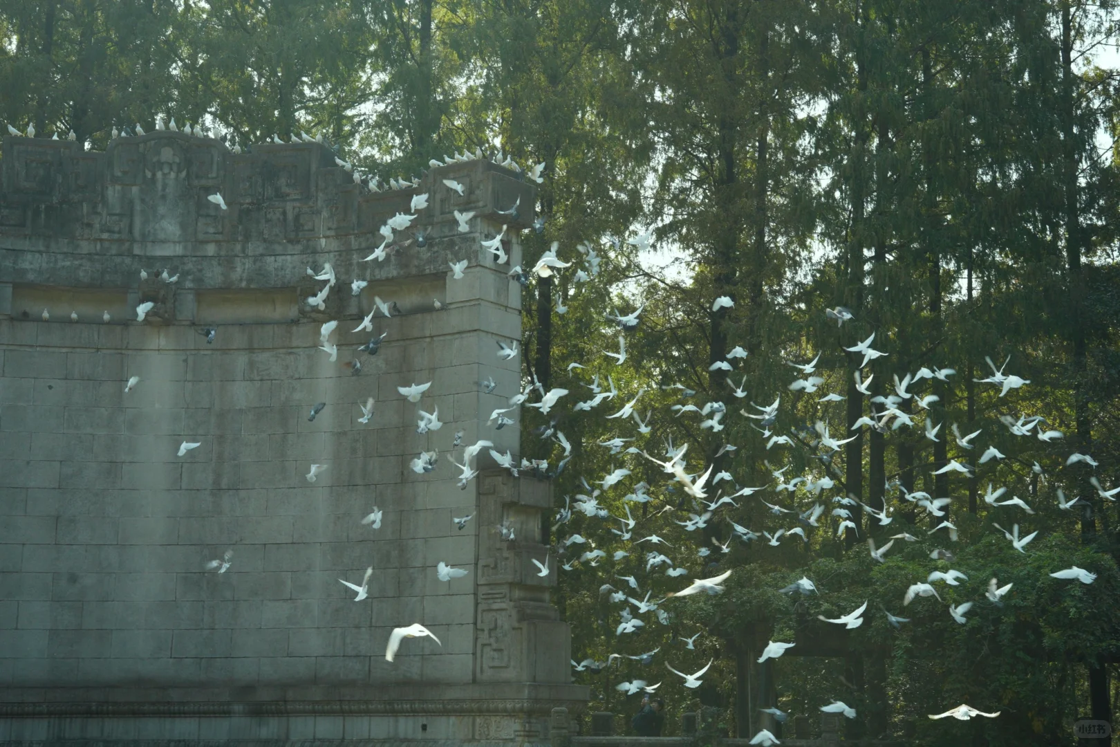 超乎意料的一个景点