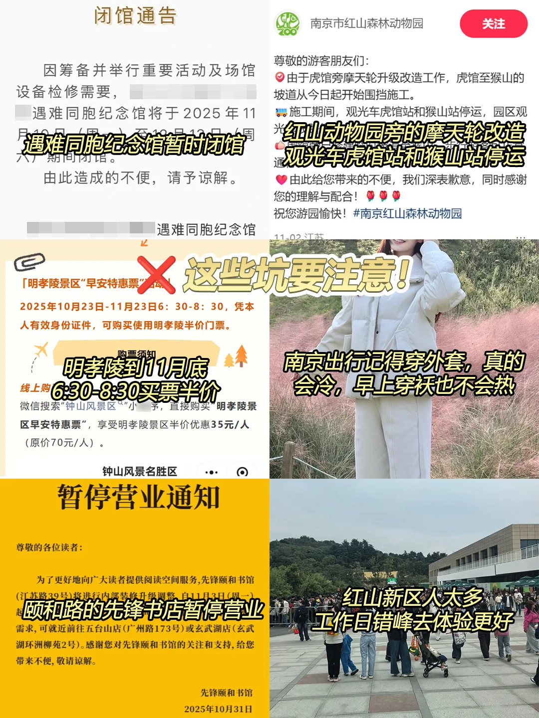 11.11日南京现状！打算来的速看