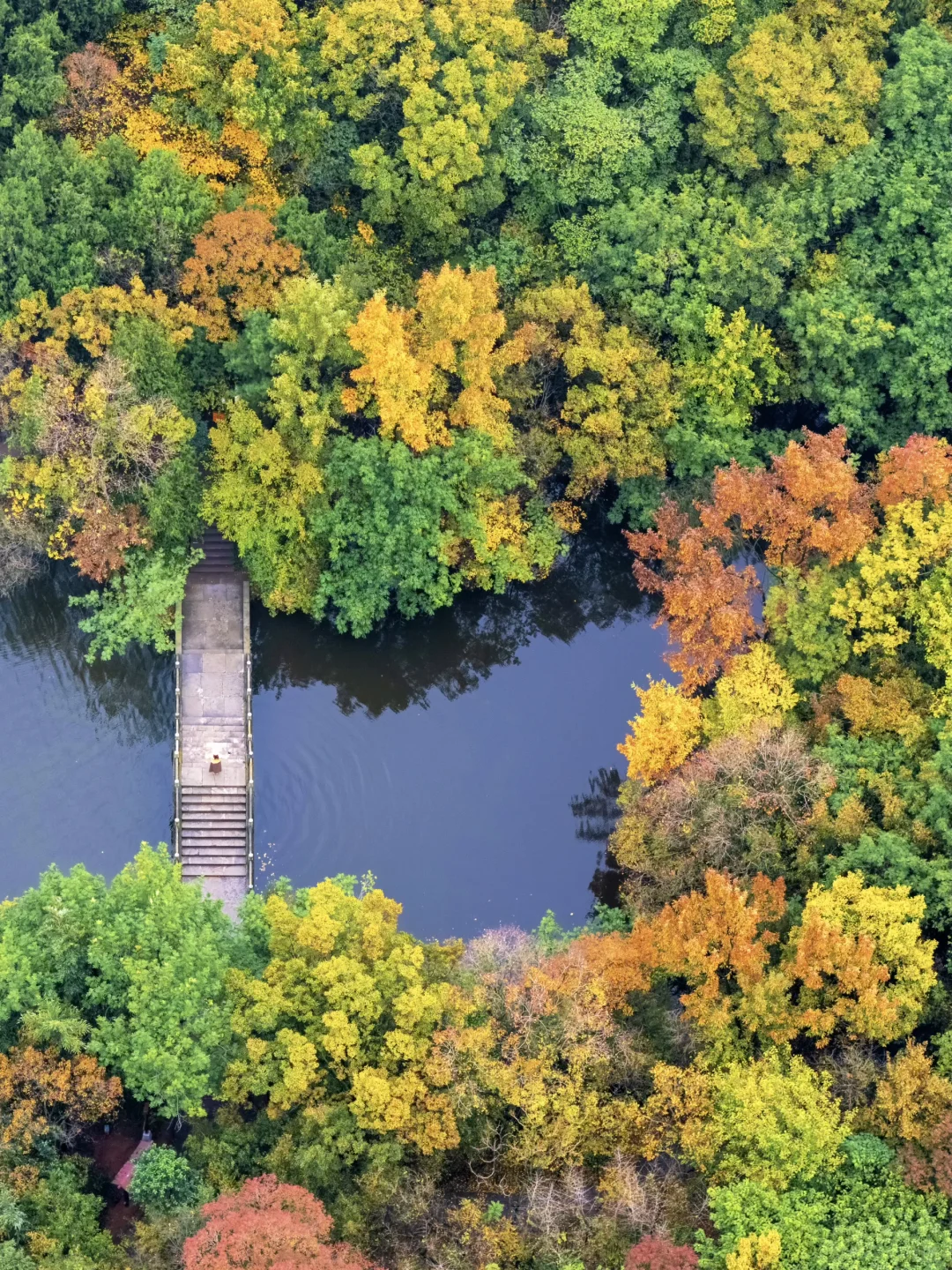 迄今为止🍁江浙沪最喜欢的秋游小城出现了‼️