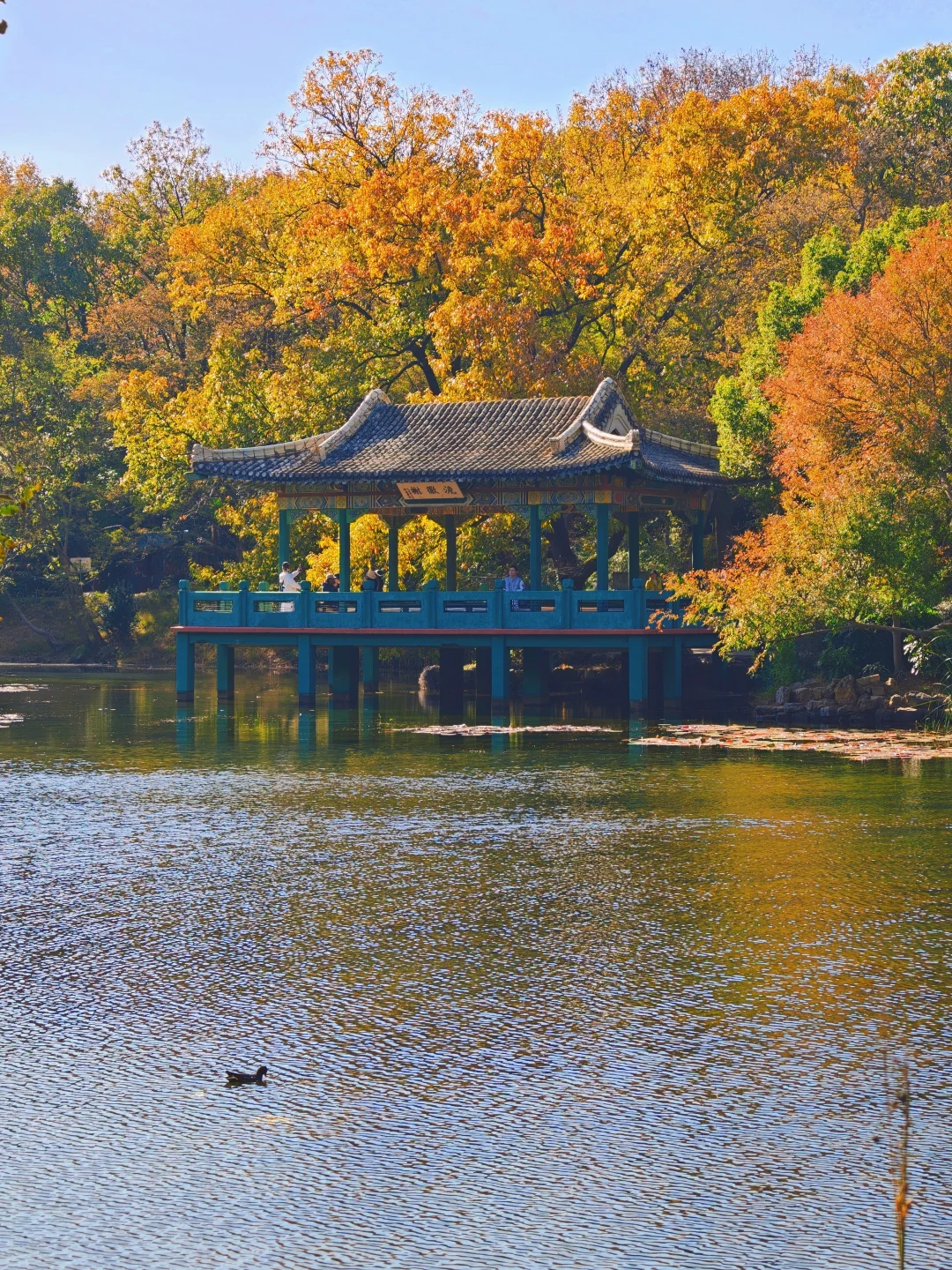 南京流徽榭秋景攻略｜正午1点拍绝湖水倒影