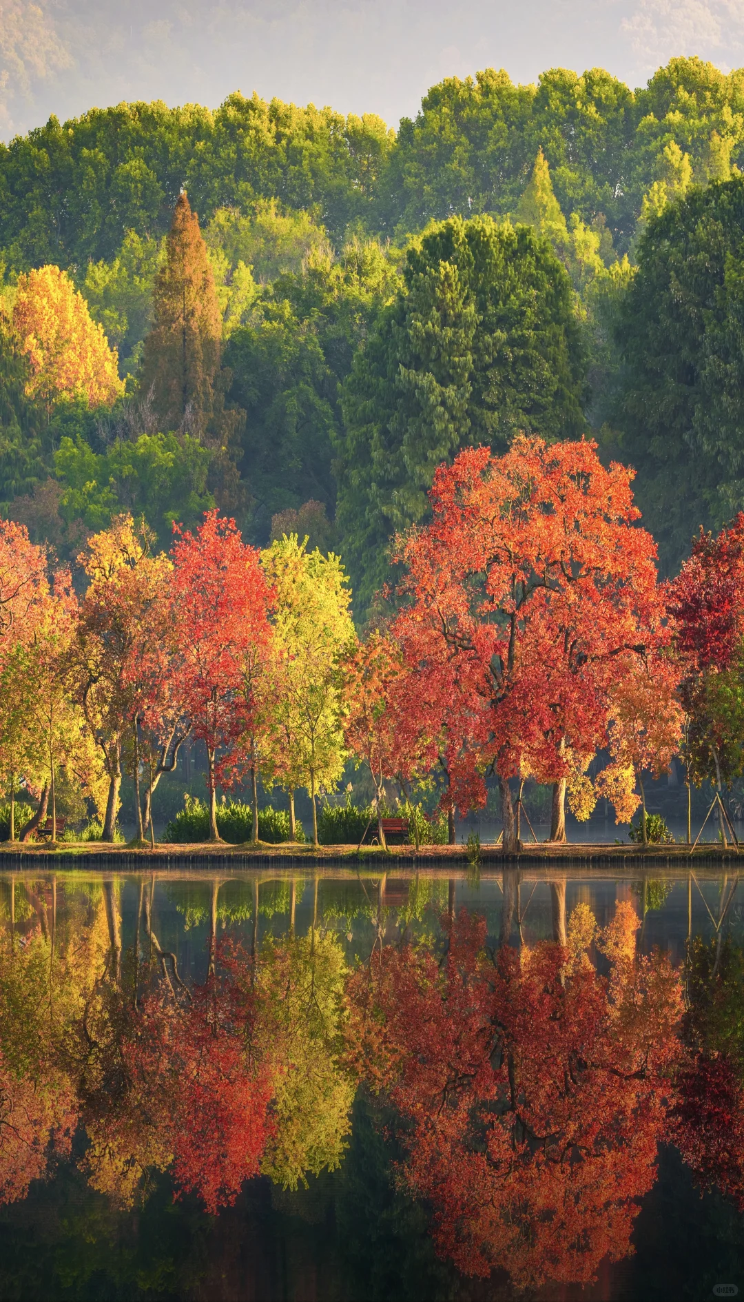 南京的秋天从前湖开始，