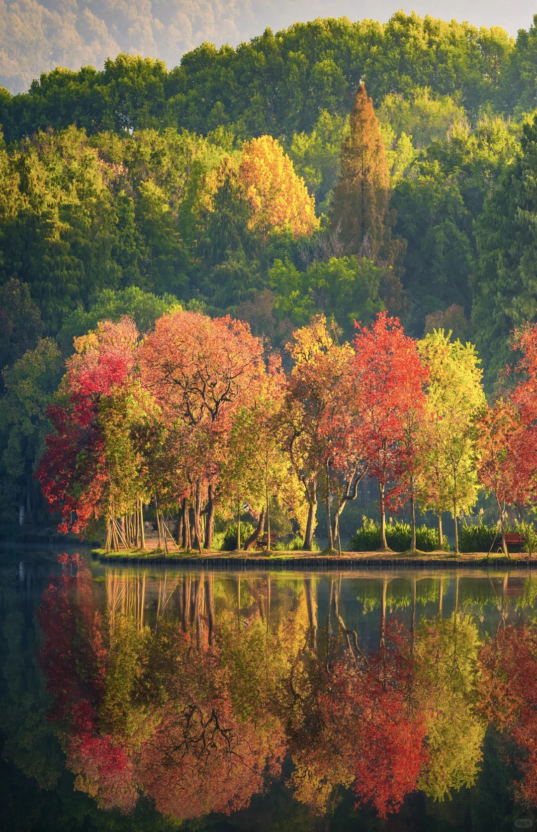 南京的秋天从前湖开始，