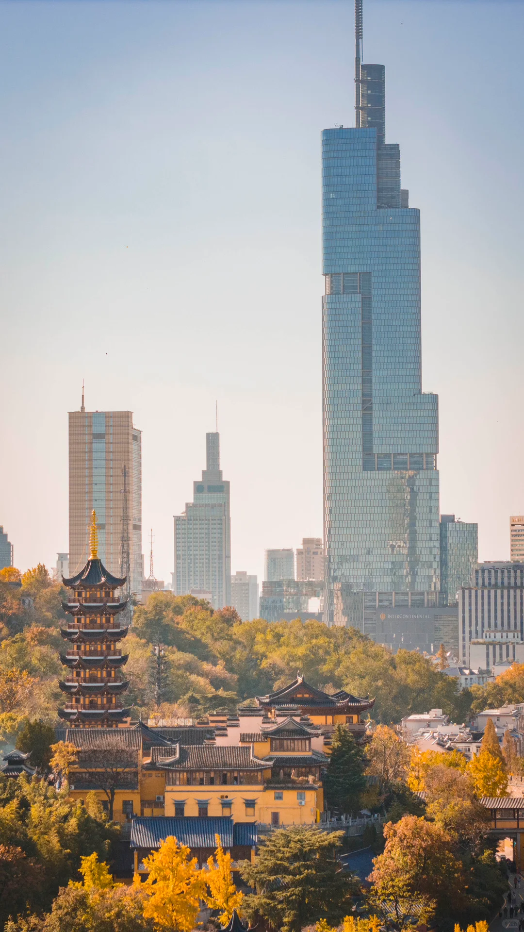 接下来的南京，秋天的氛围感直接拉满