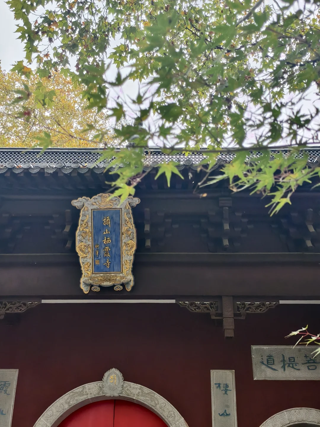 南京下雪啦！南京初雪！！！