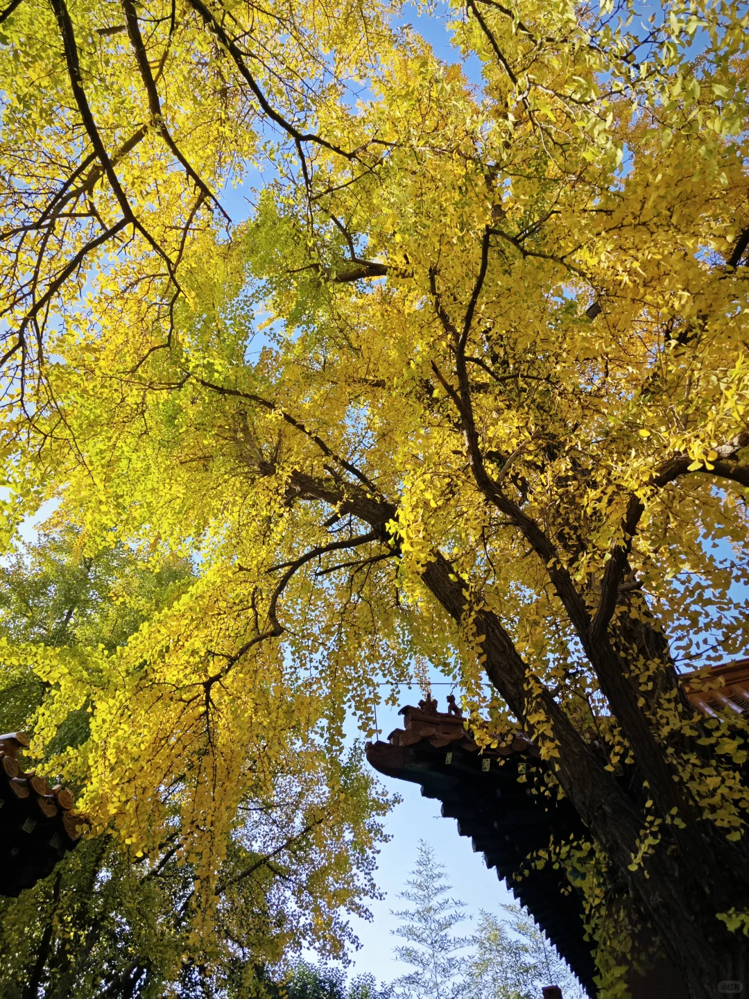 徐州📍一座来了就不想走的城市