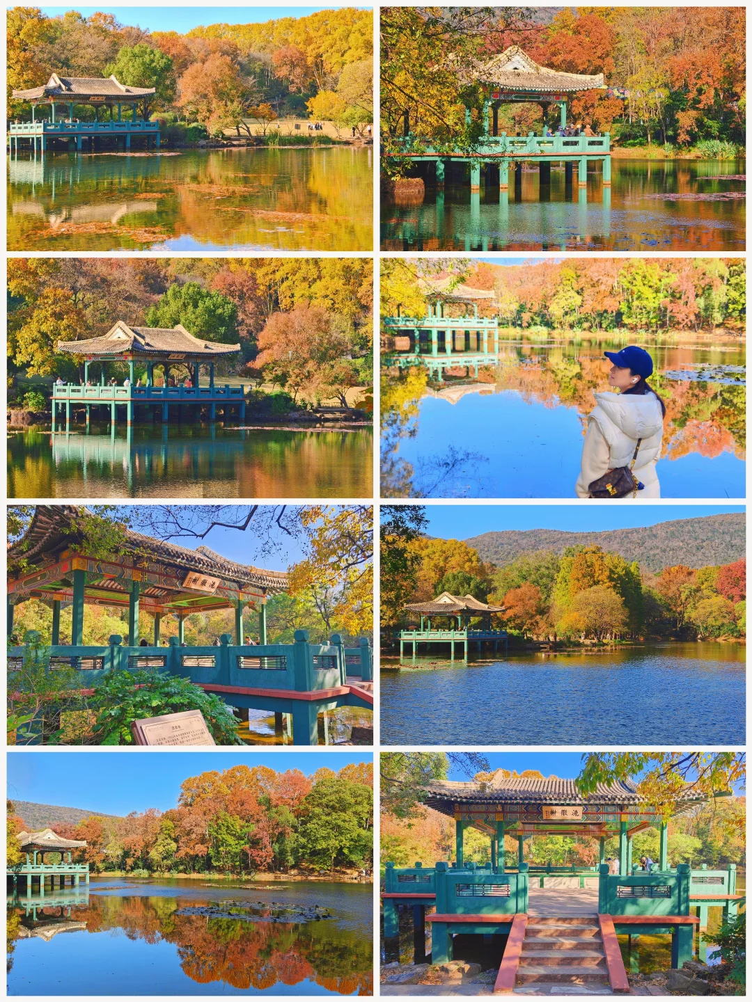 南京流徽榭秋景攻略｜正午1点拍绝湖水倒影