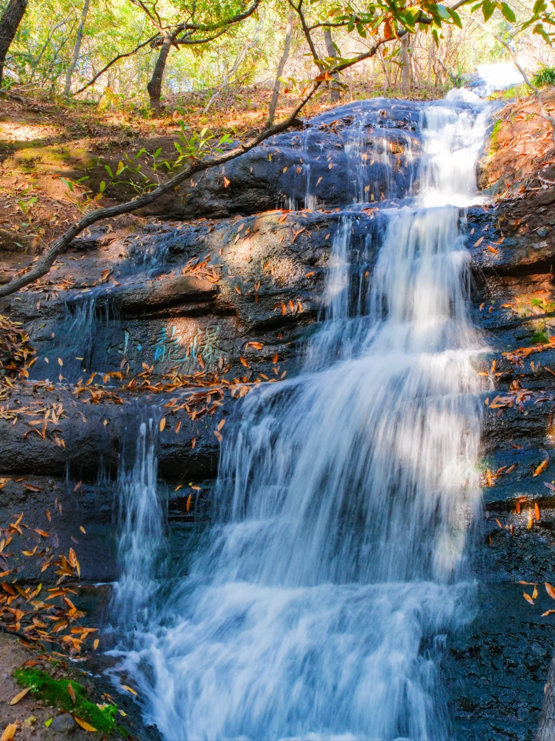 以为苏州已经够美了，直到我去了徐州😭..