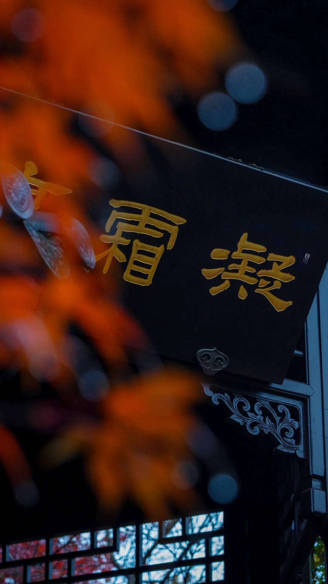 南京的深秋，一把子期待住啦！