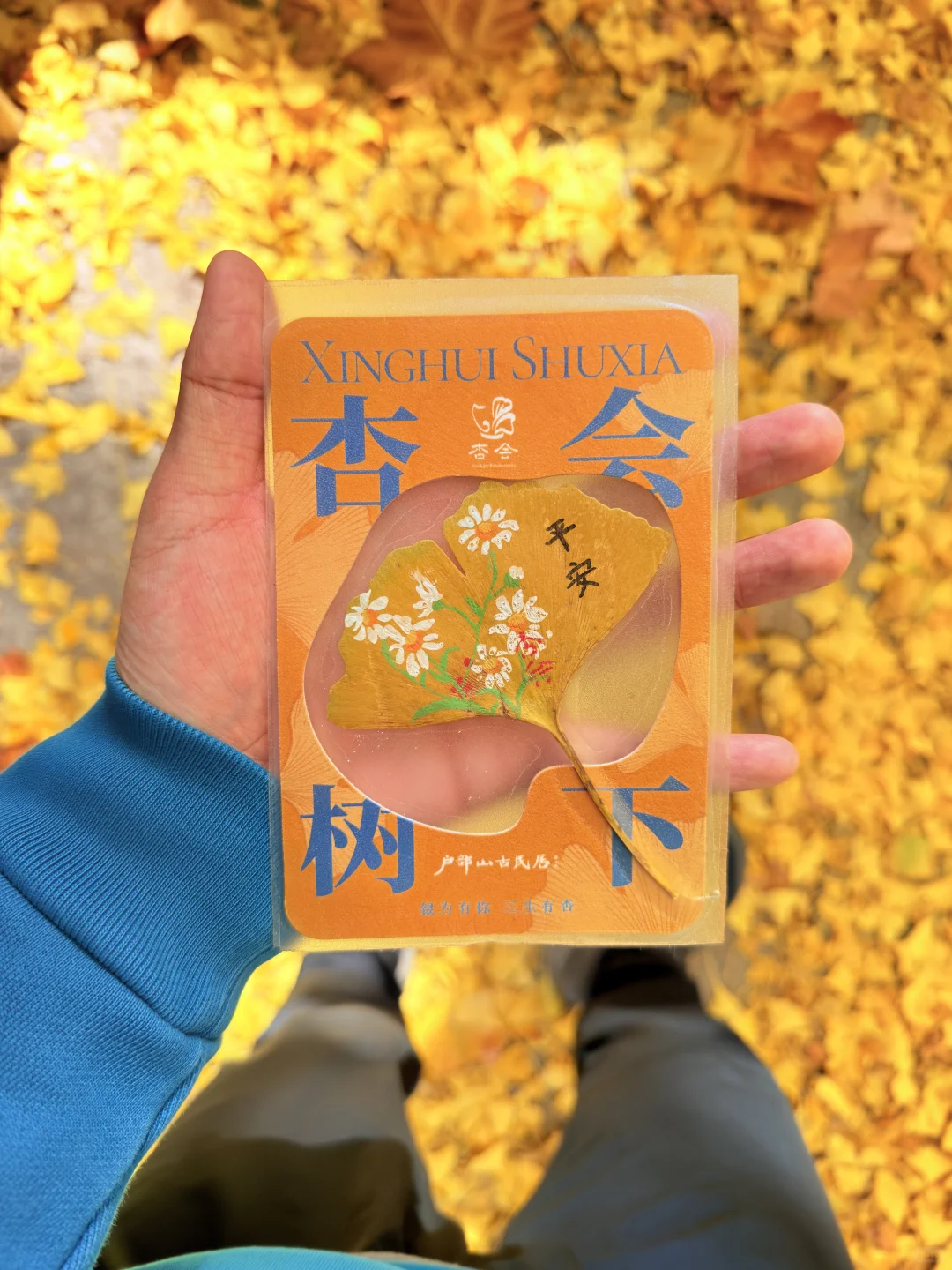 这颗银杏树等了你五百年