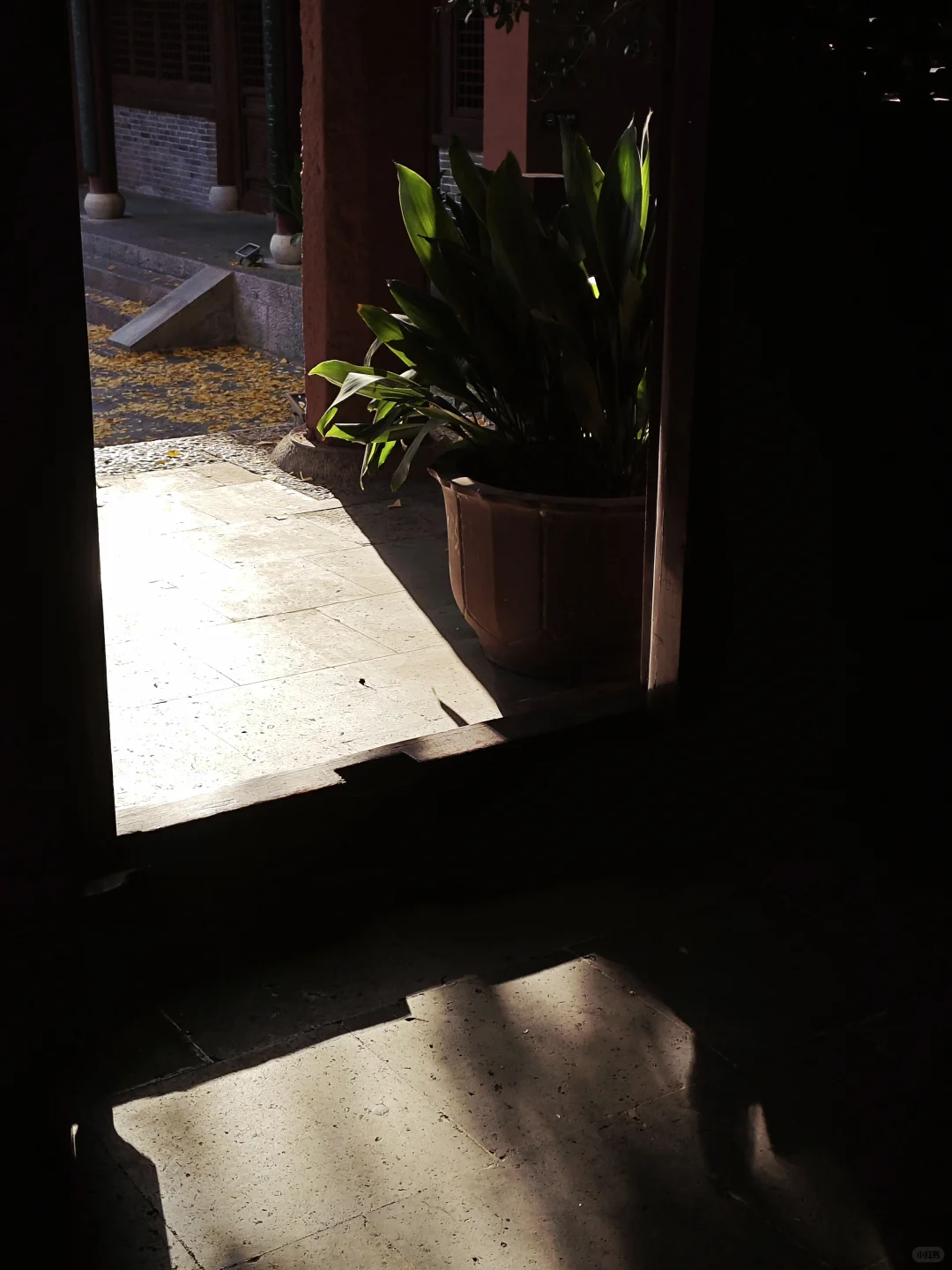 徐州📍一座来了就不想走的城市