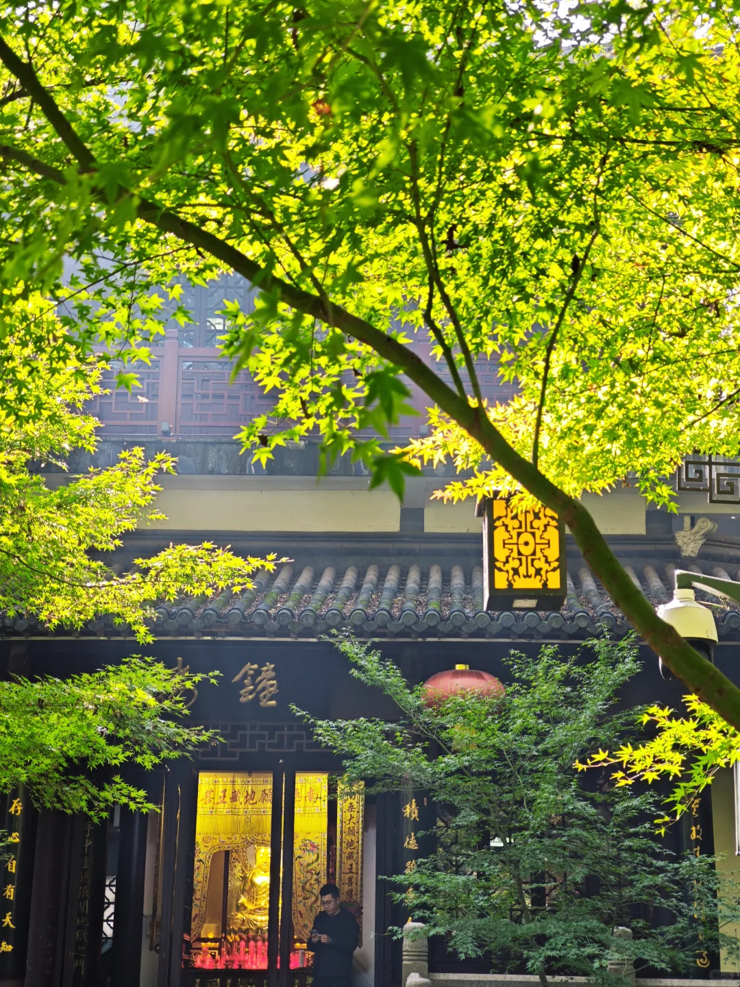 💥红啦！南京栖霞山免费赏枫指南来啦