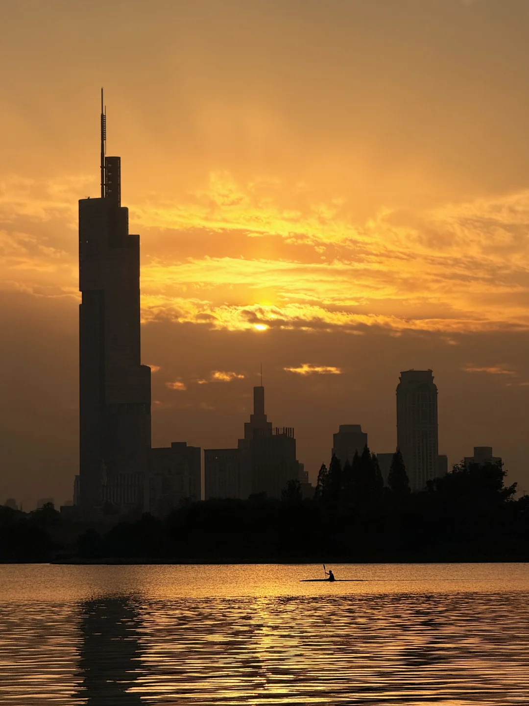 11.10实况｜南京12时特种兵一日游赏秋路线❗️