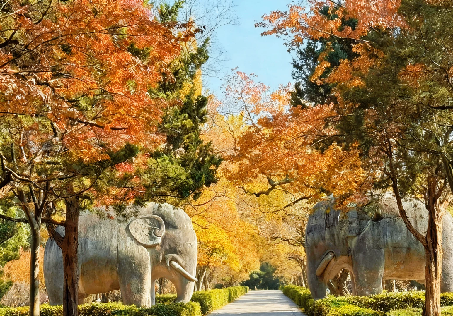 11.13实况南京，明孝陵石像路最美600米