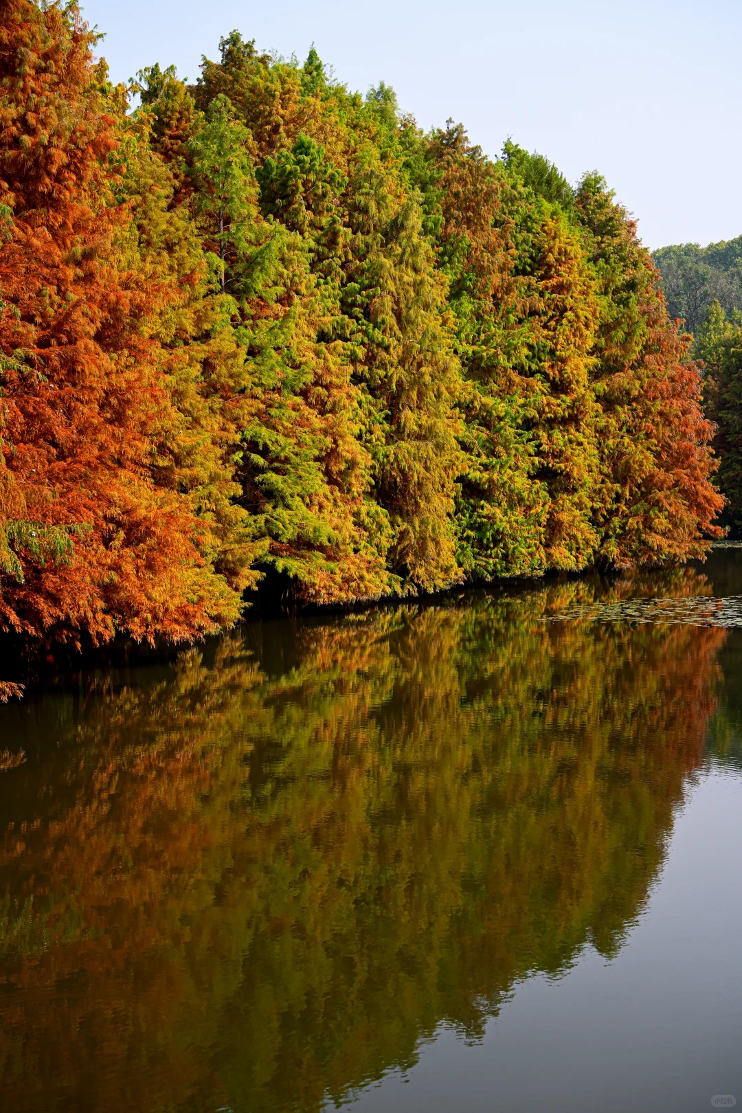 南京/金陵，一个人的旅游