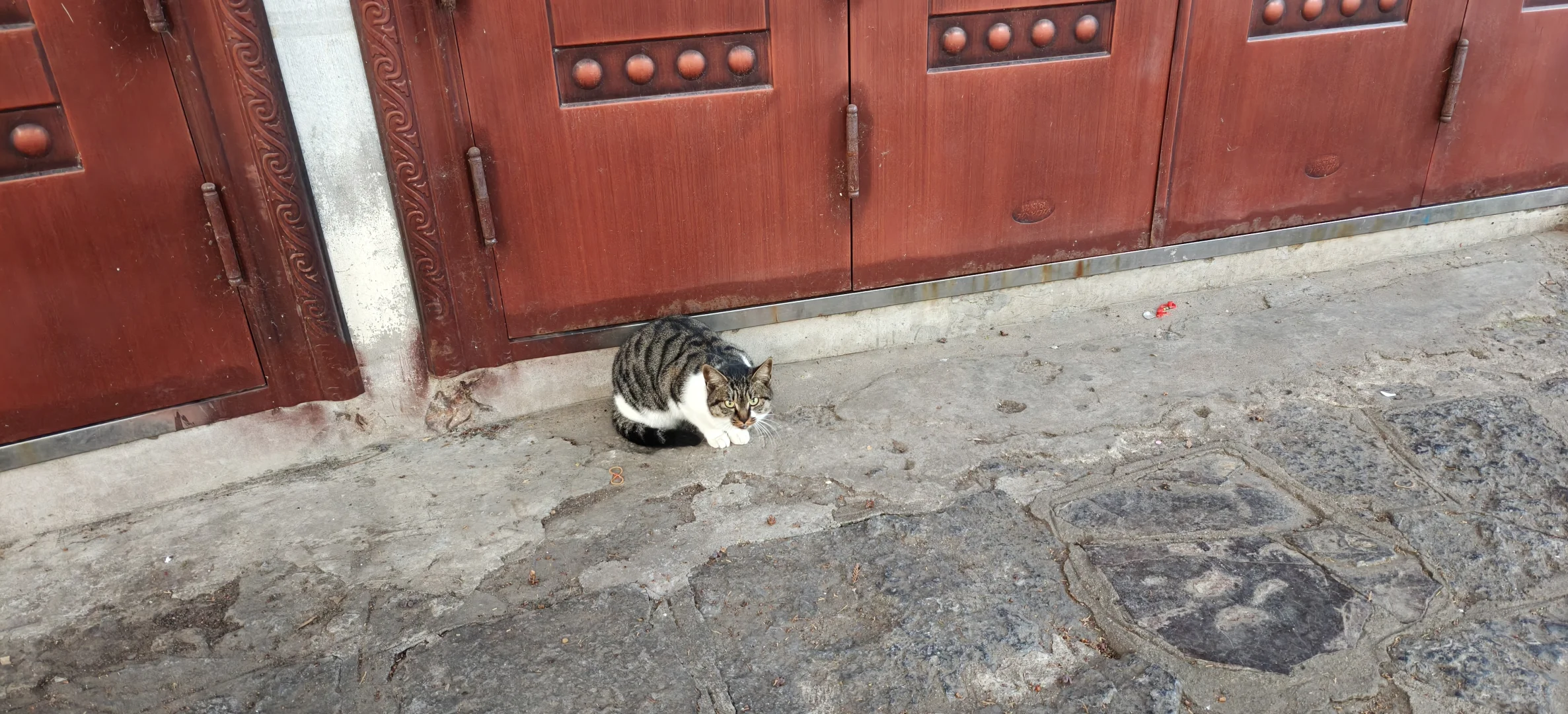 🌅徐州双璧｜云龙山×云龙湖