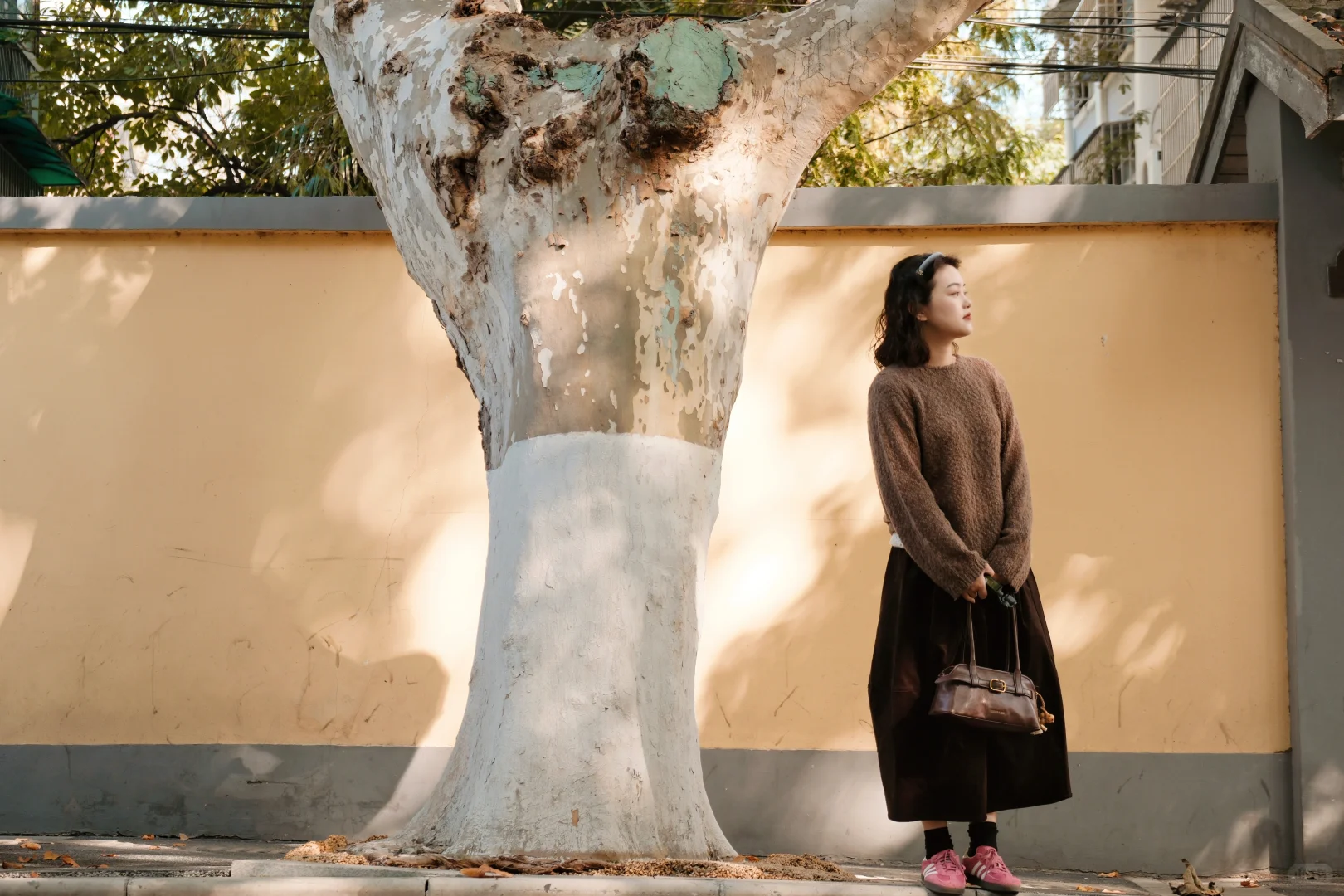 南京‖颐和路的秋天