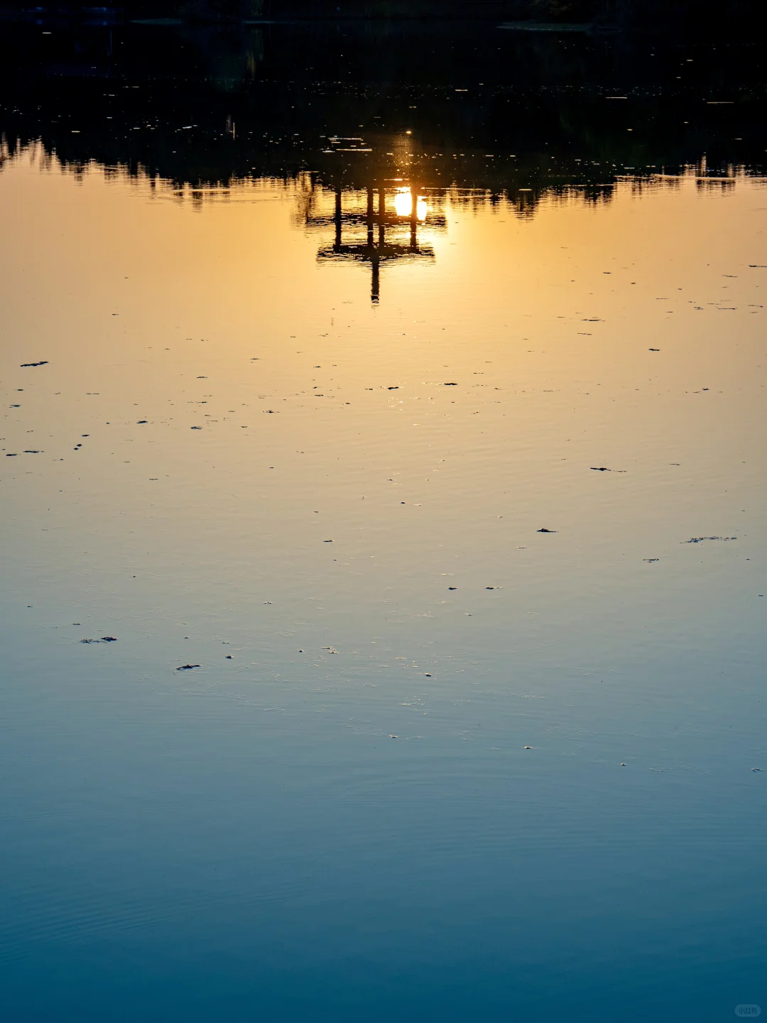 迄今为止❗️我最喜欢的旅游城市出现了….