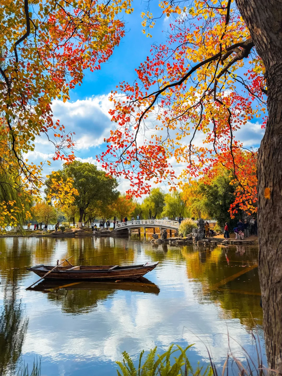 南京｜莫愁湖的乌桕🎨