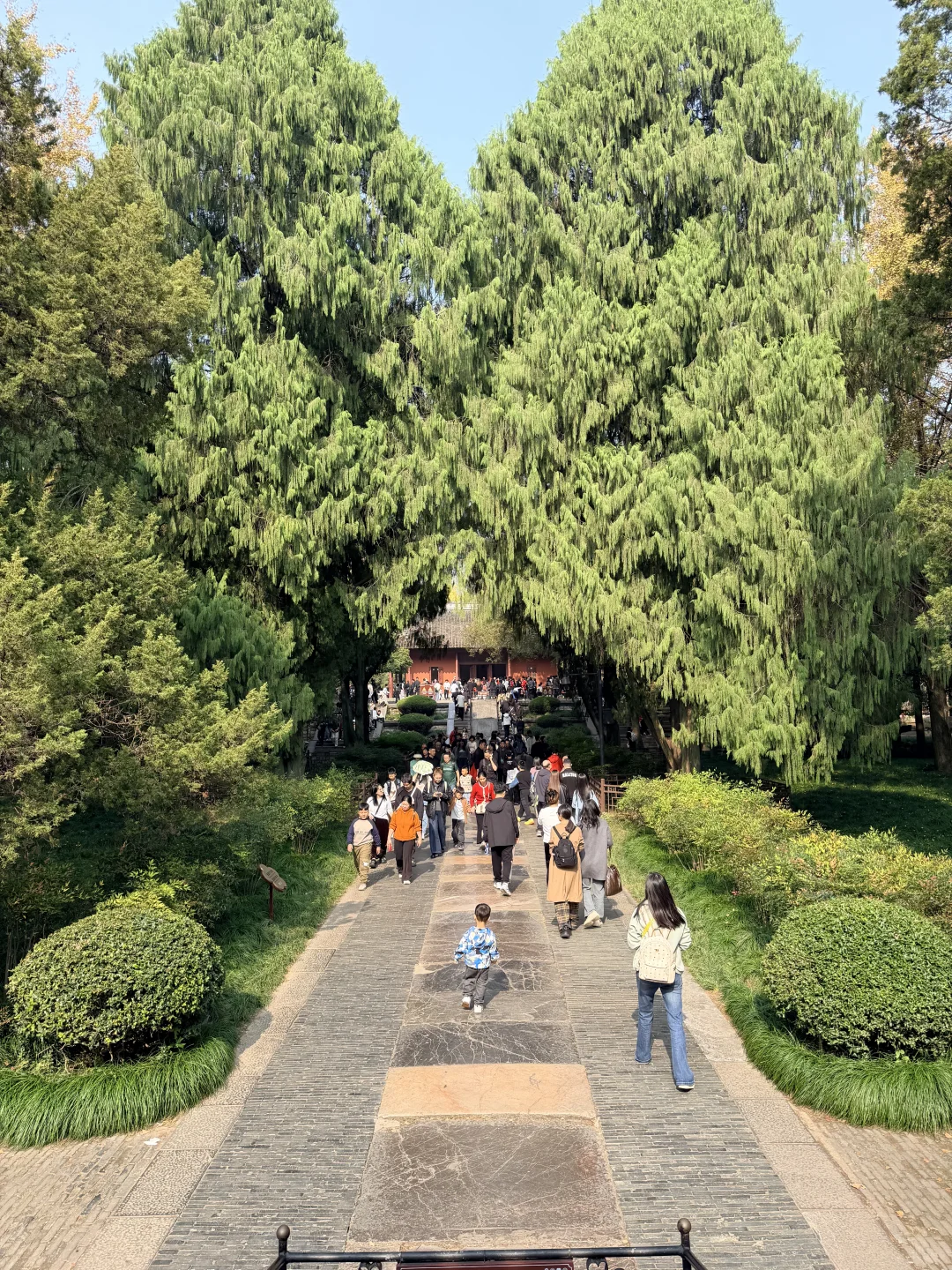 不开玩笑…11.14的南京被秋假大军攻陷了