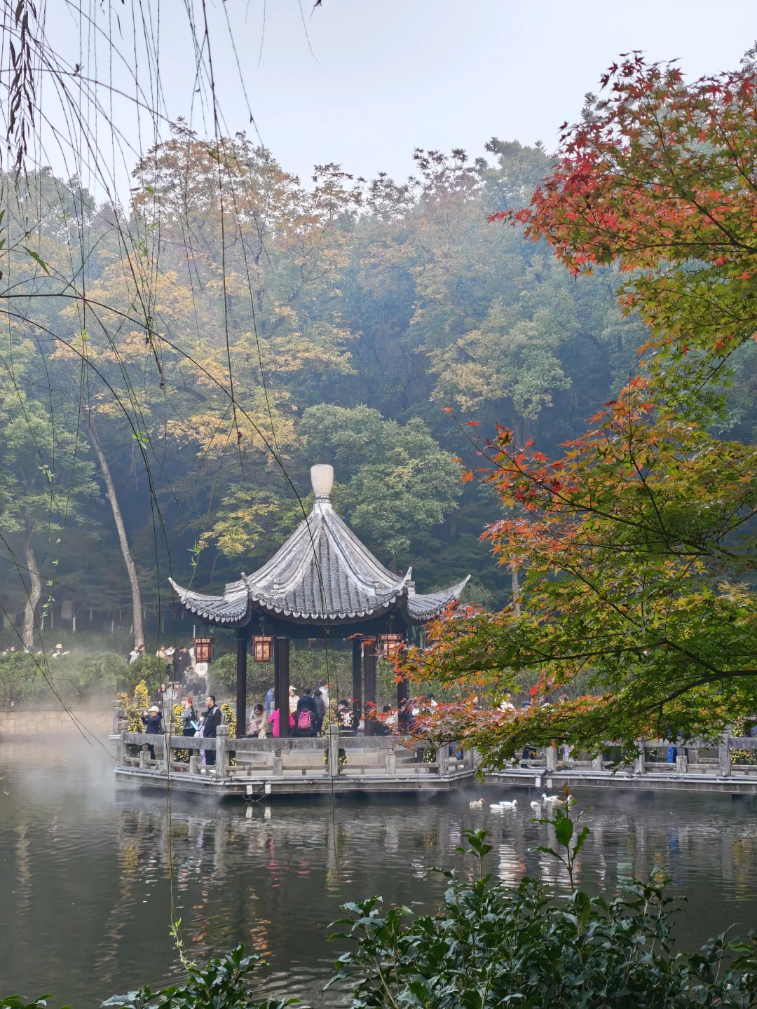 💥红啦！南京栖霞山免费赏枫指南来啦